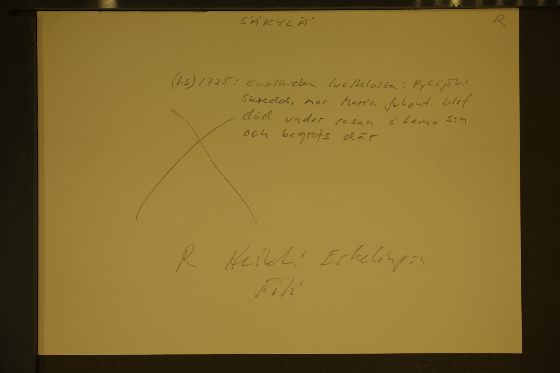 [ kuvat/33.jpg ]