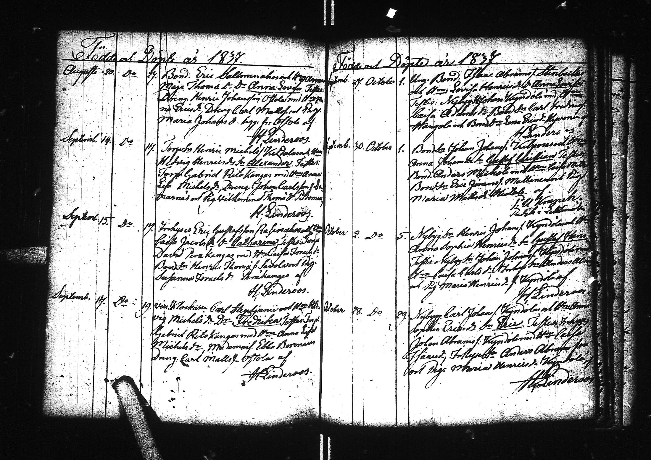 [ kuvat/174.jpg ]