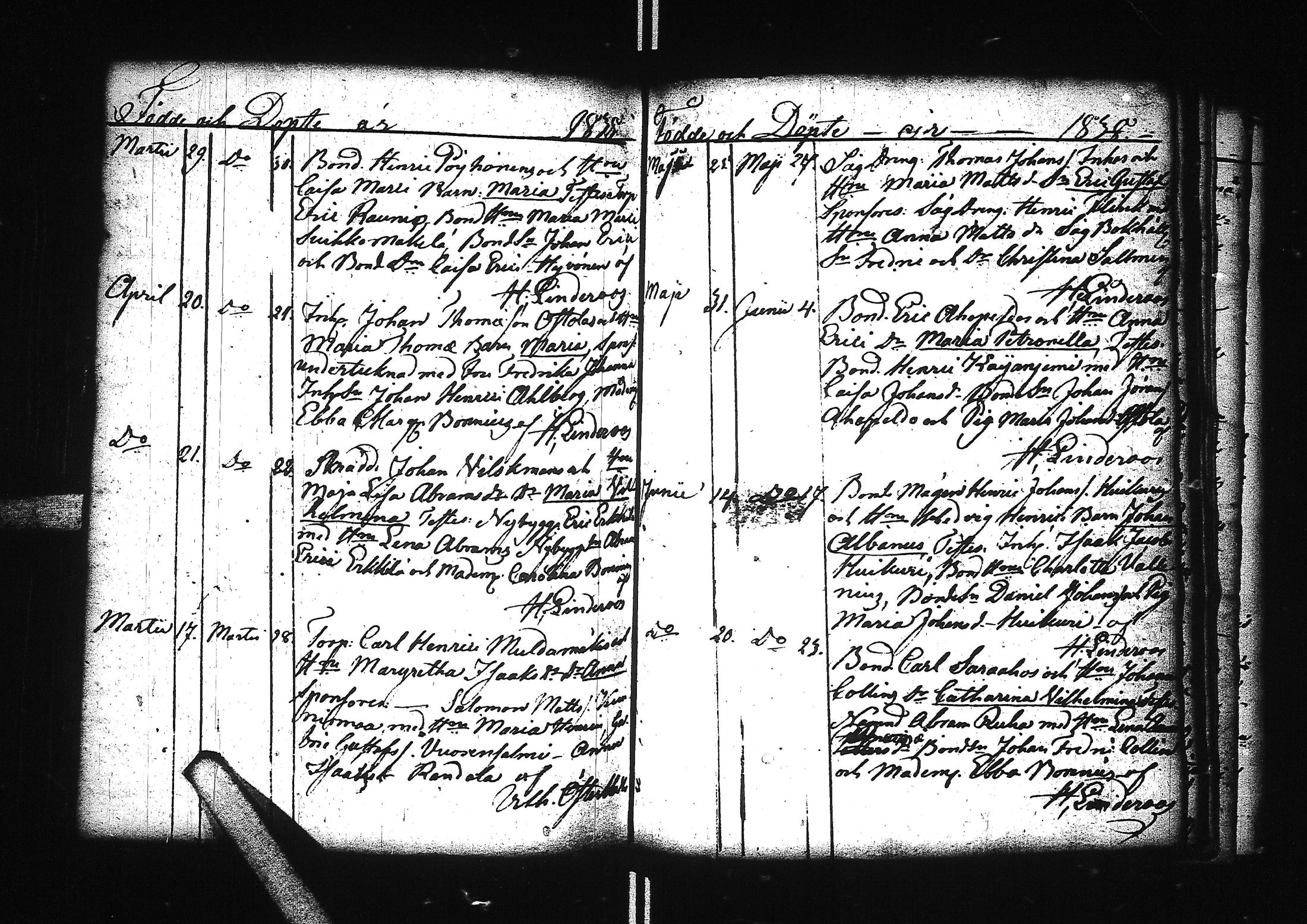 [ kuvat/177.jpg ]