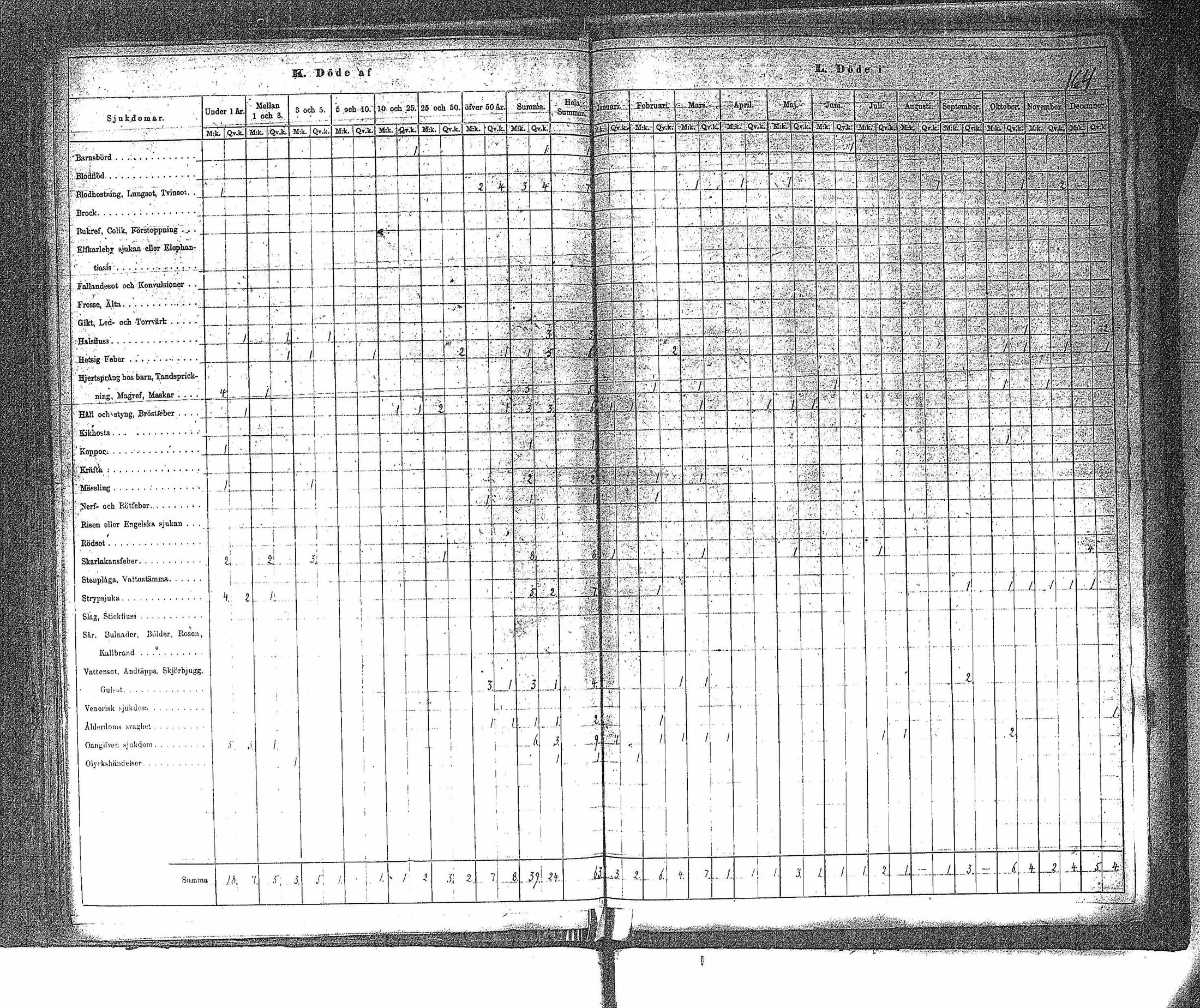 [ kuvat/167.jpg ]