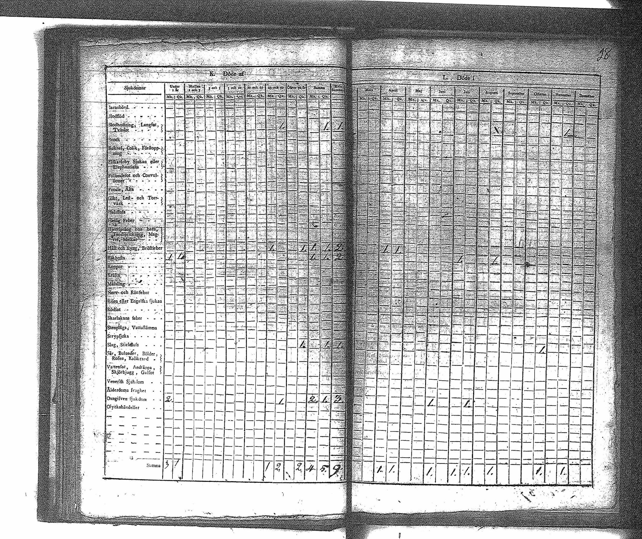 [ kuvat/29.jpg ]