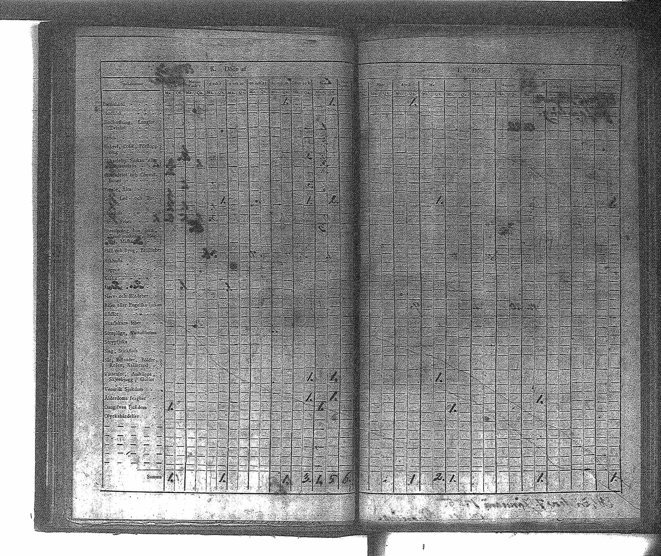 [ kuvat/41.jpg ]