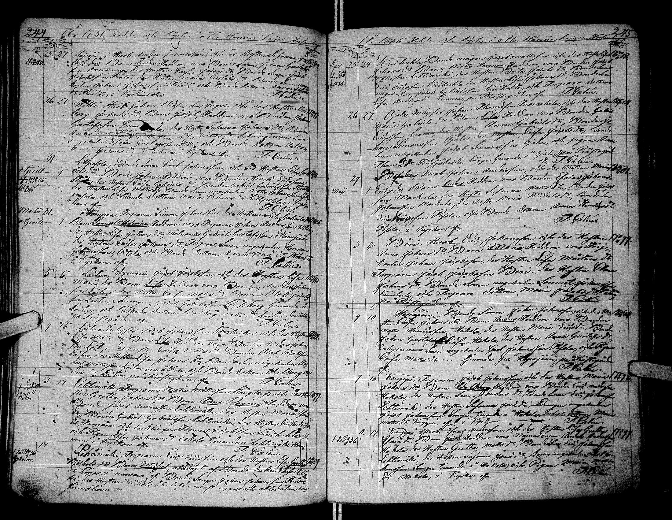 [ kuvat/124.jpg ]