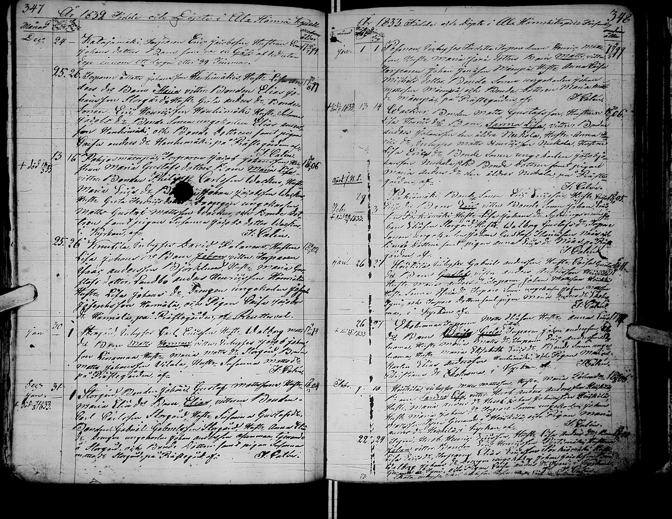 [ kuvat/175.jpg ]