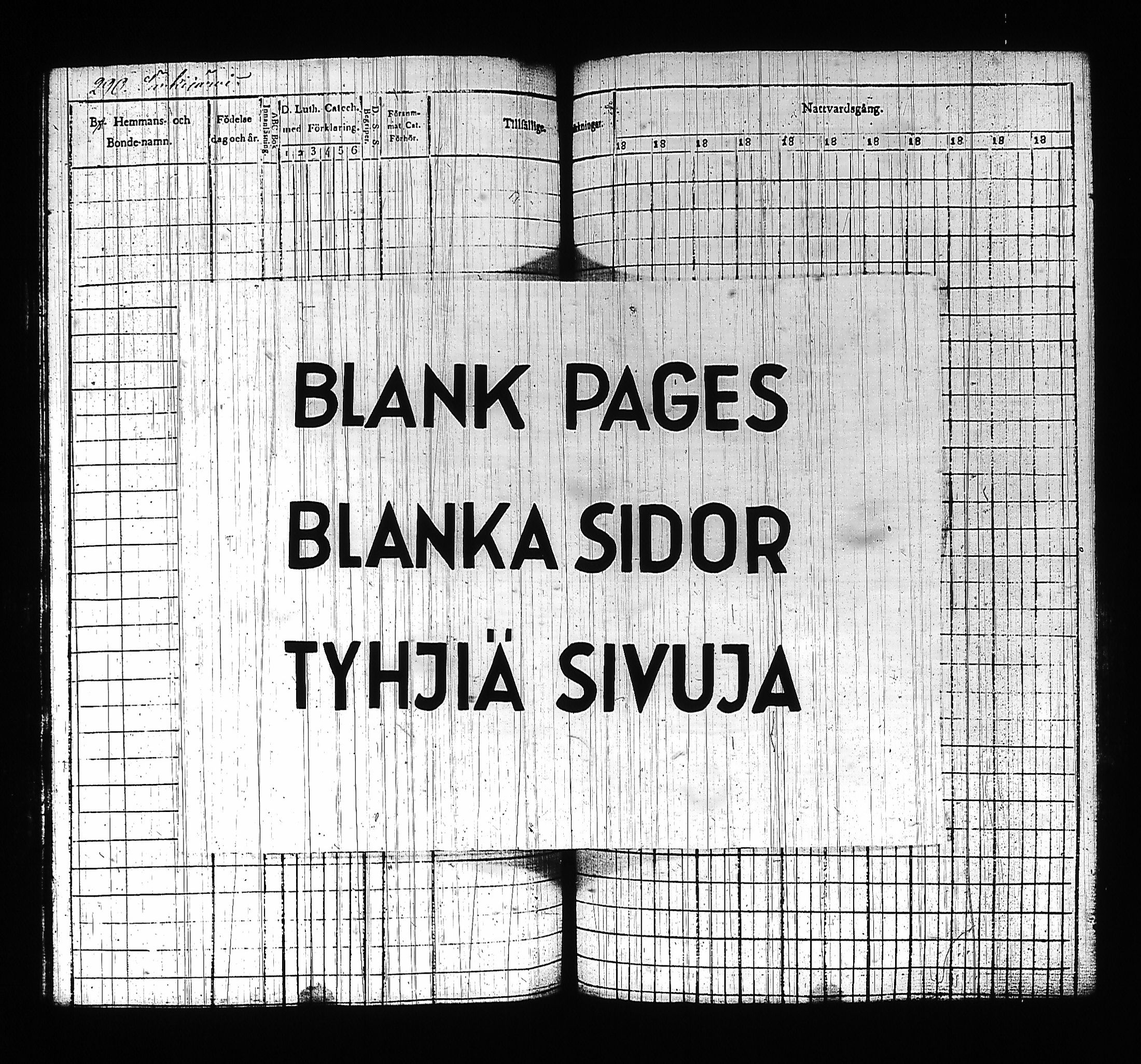 [ kuvat/291.jpg ]