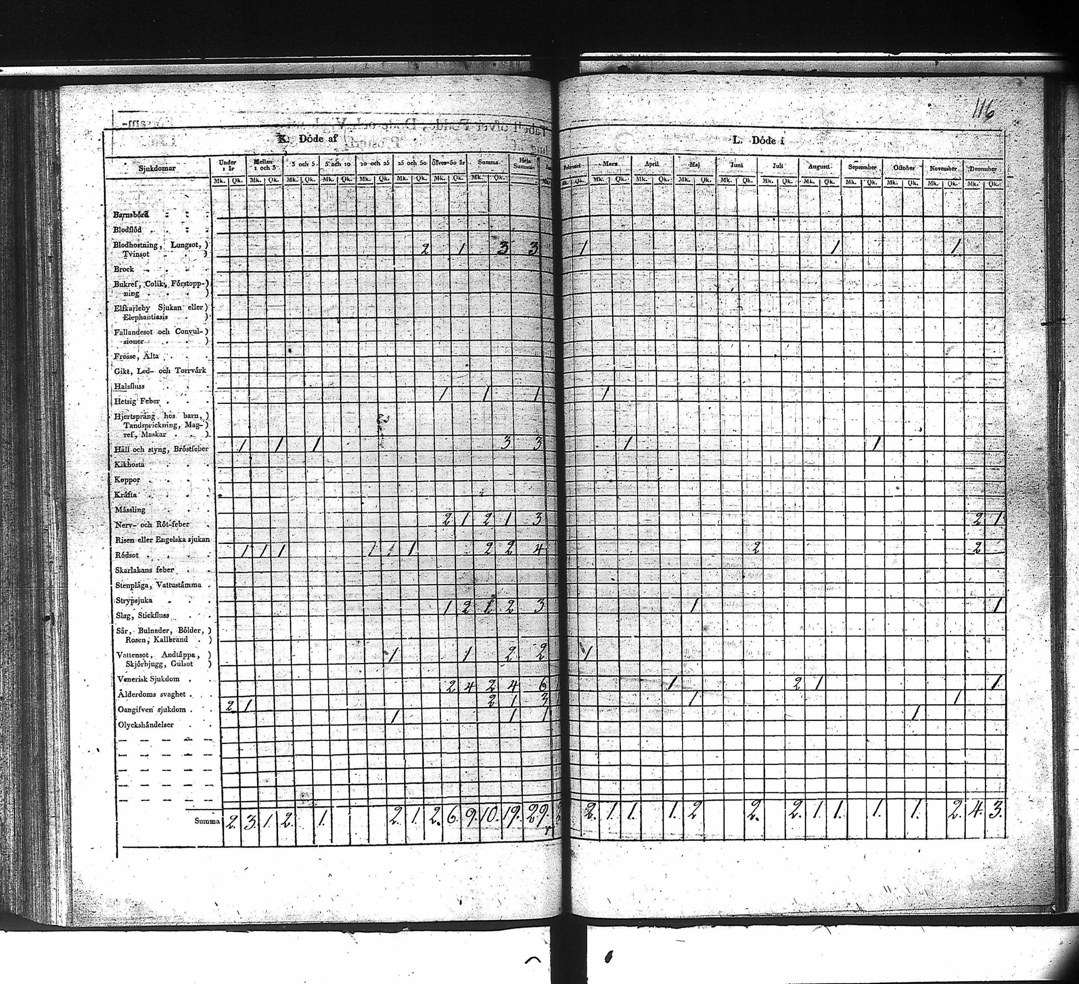 [ kuvat/119.jpg ]