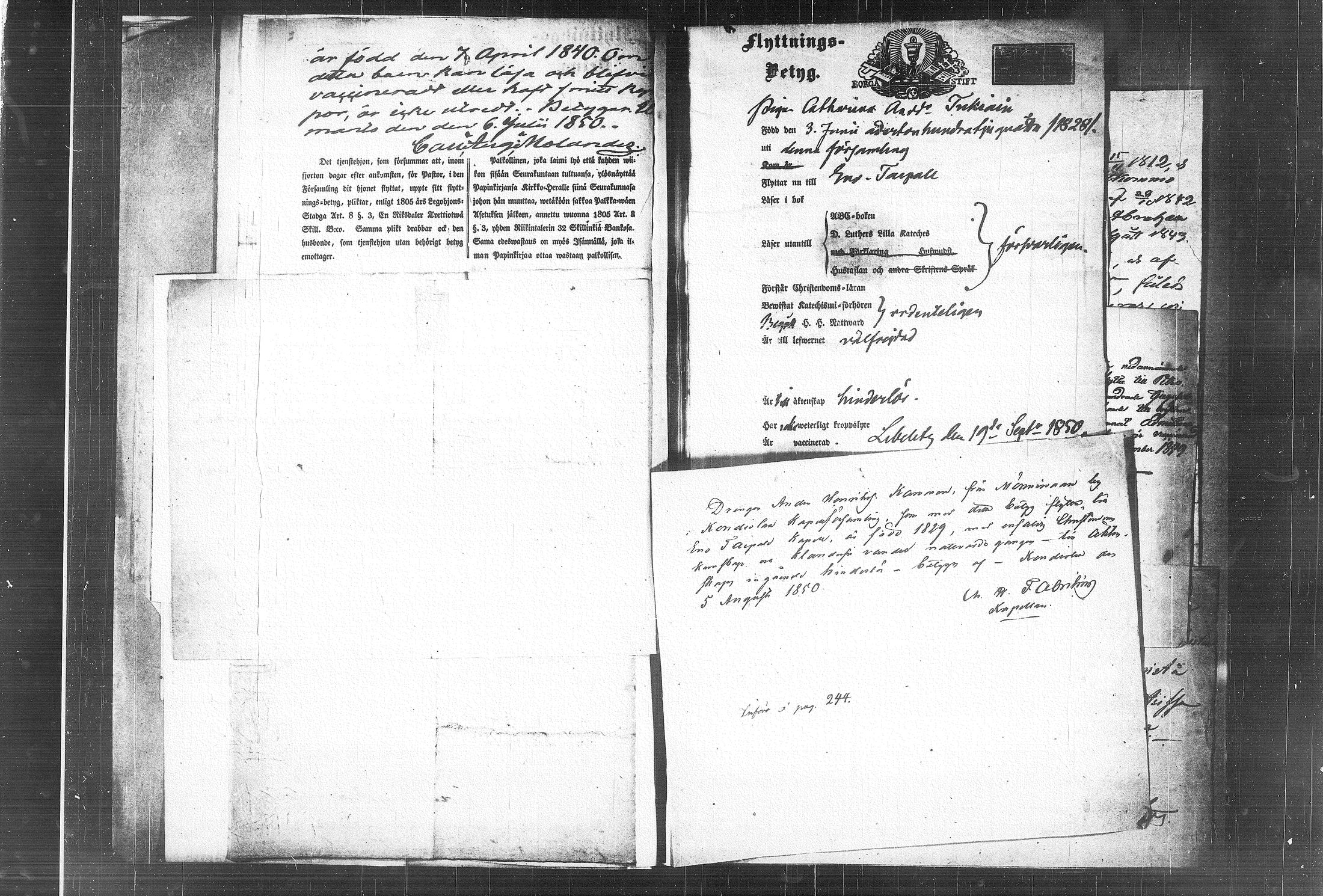 [ kuvat/185.jpg ]