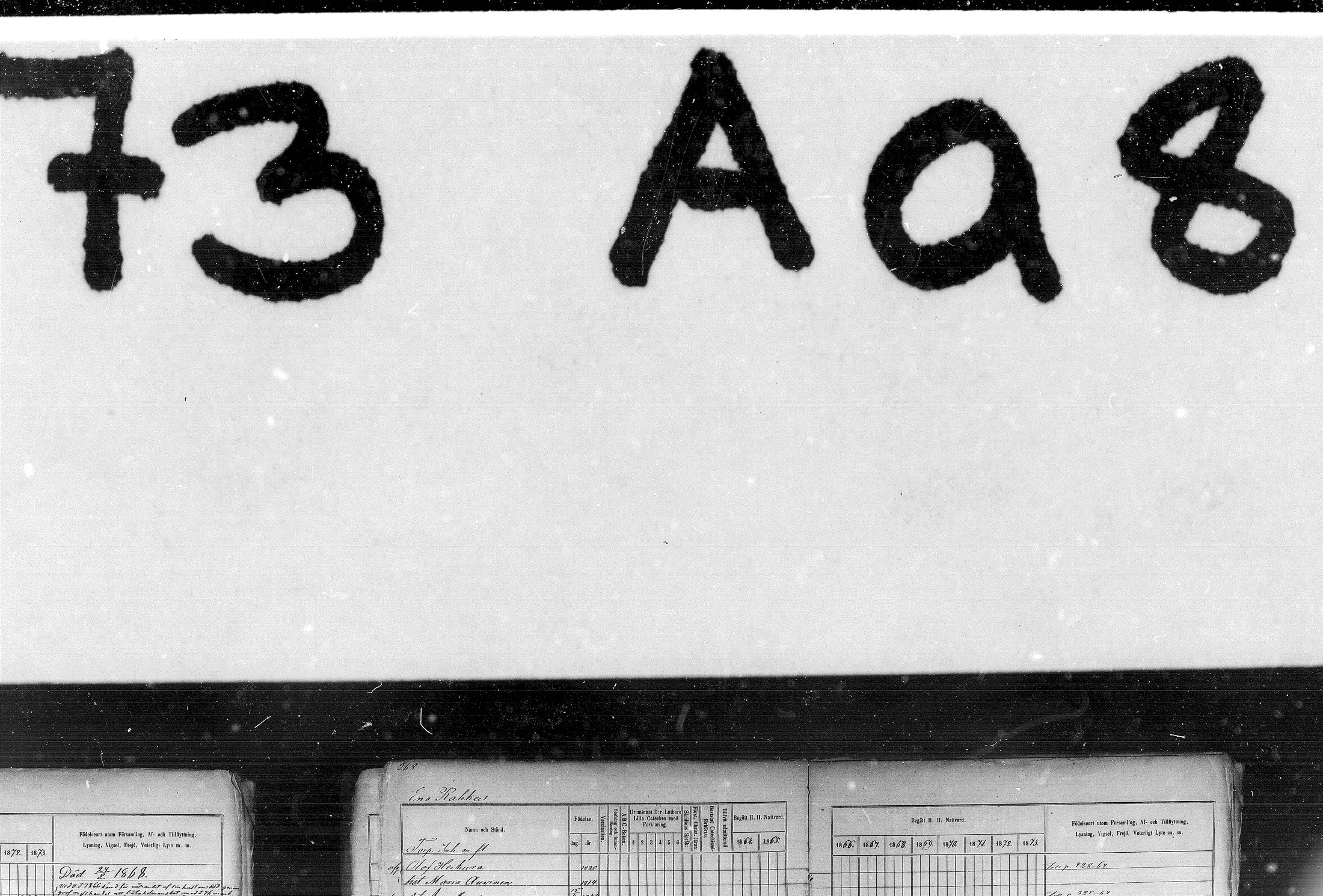 [ kuvat/244.jpg ]