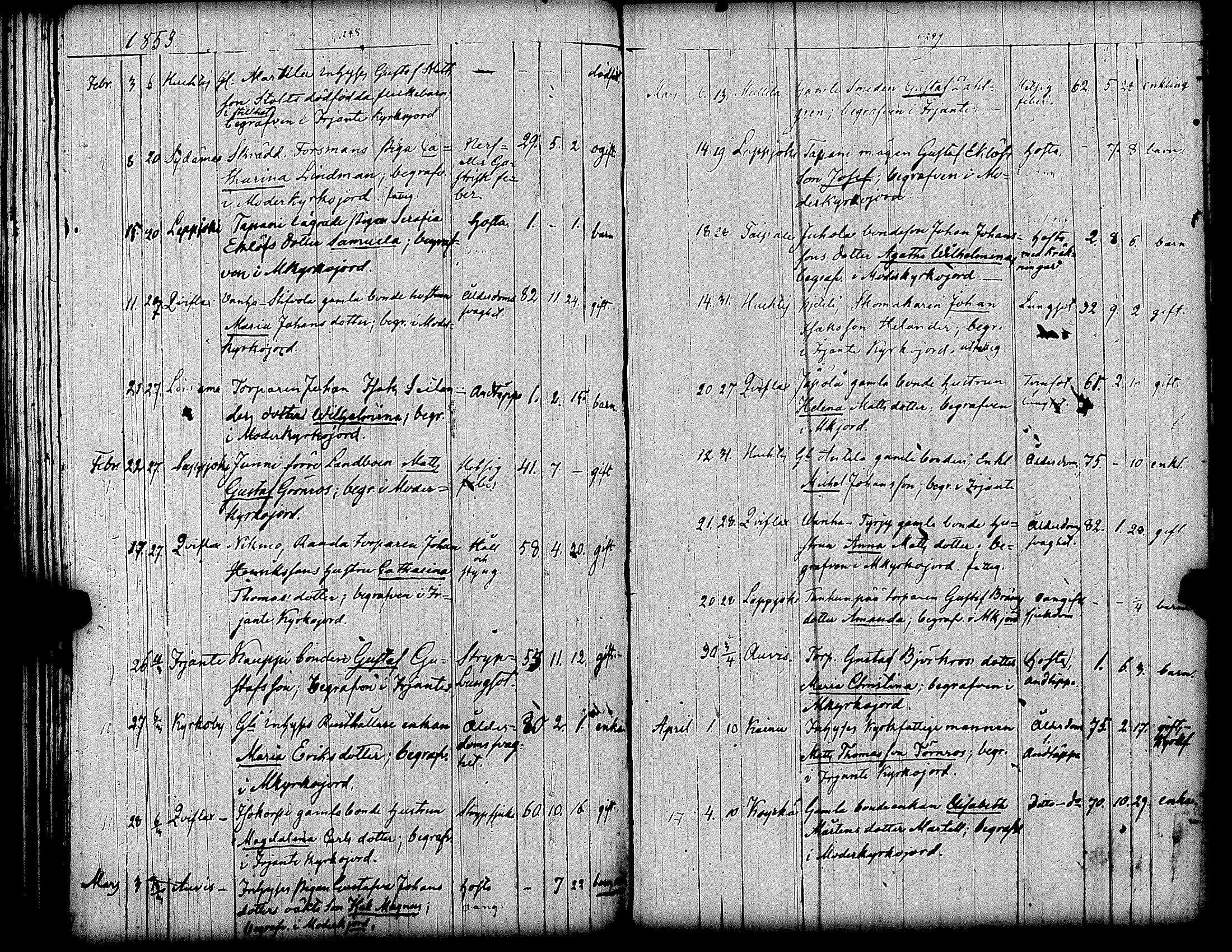 [ kuvat/127.jpg ]