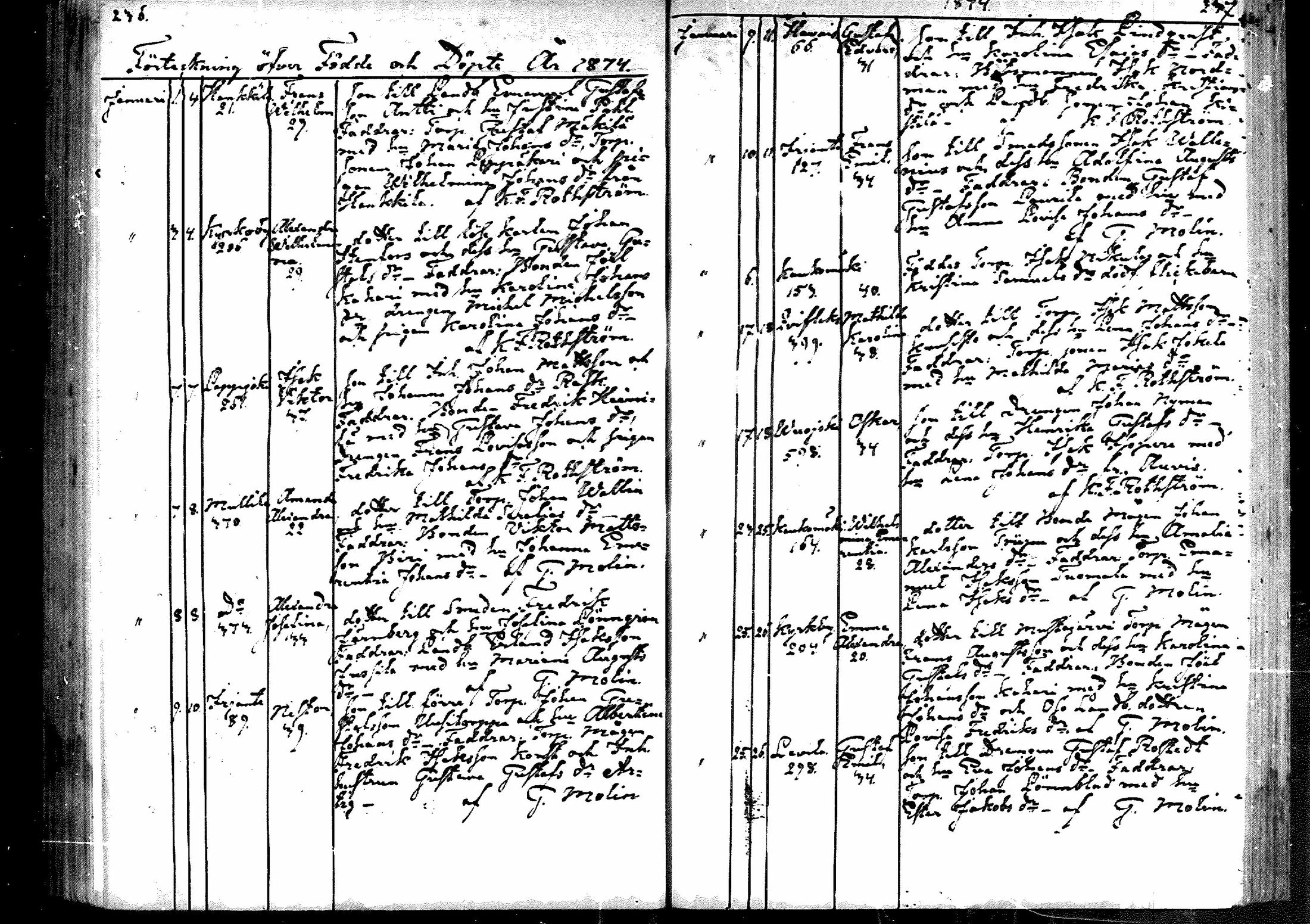 [ kuvat/119.jpg ]