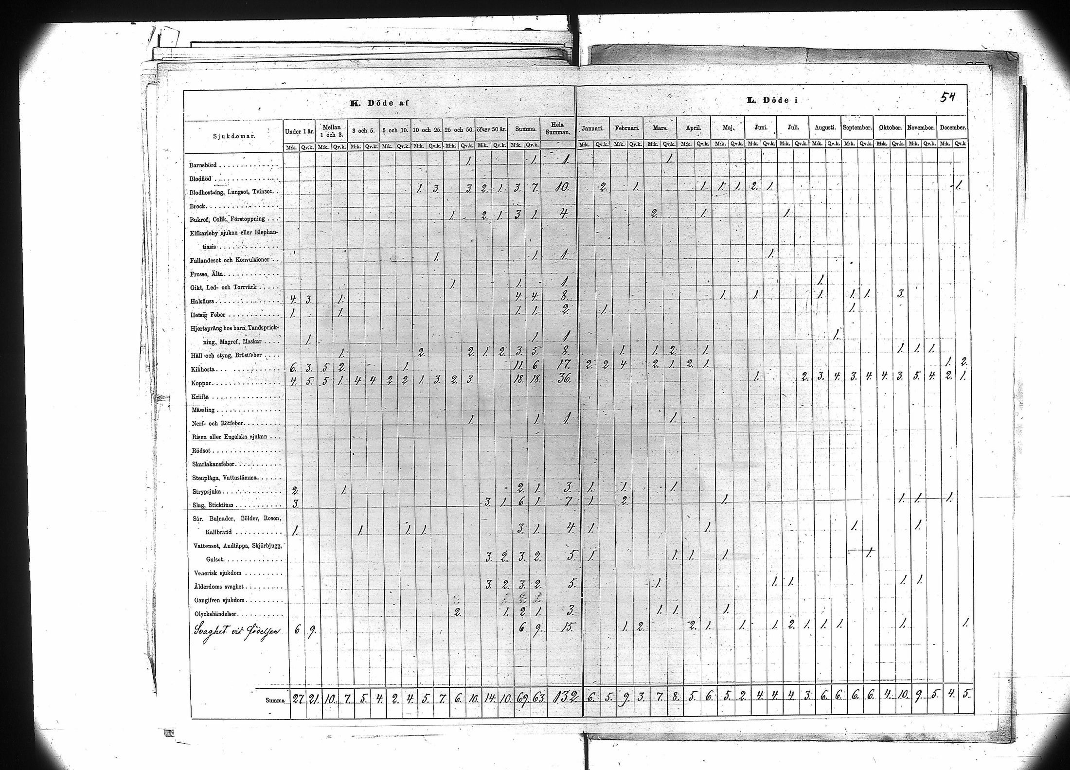 [ kuvat/55.jpg ]