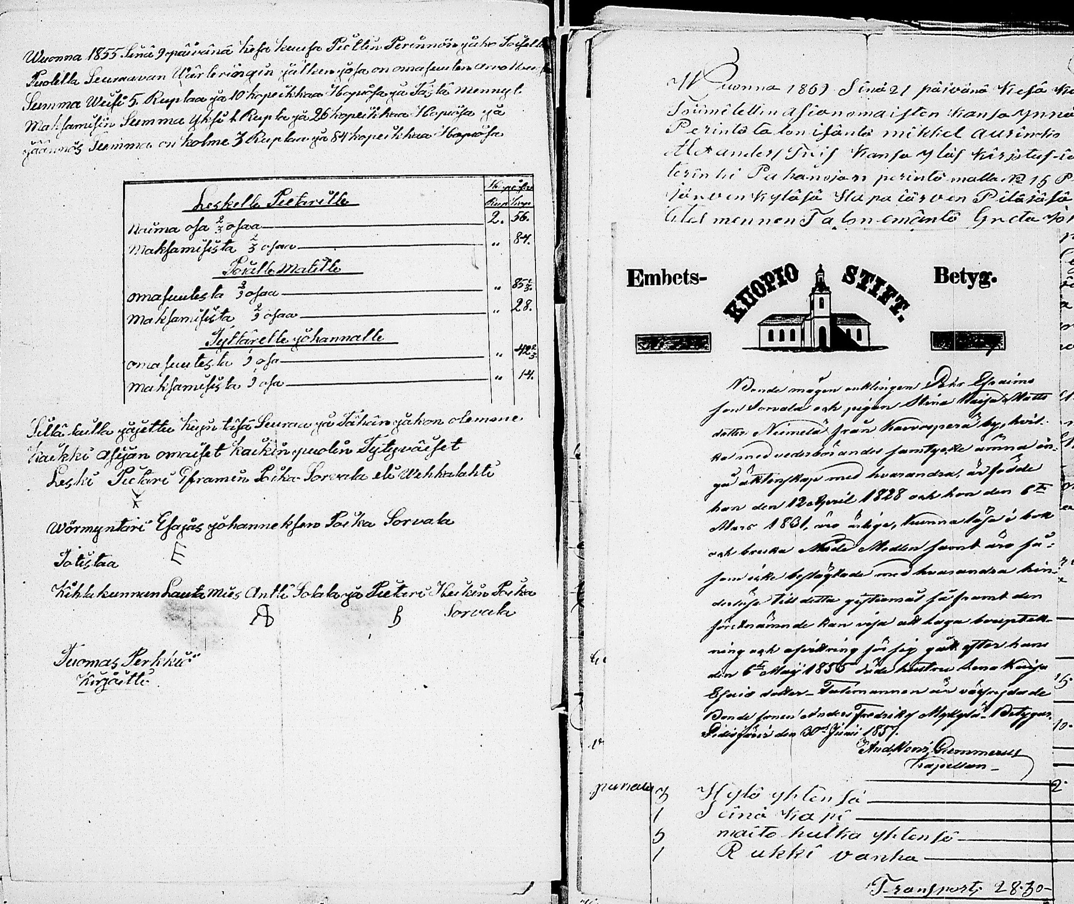 [ kuvat/1195.jpg ]