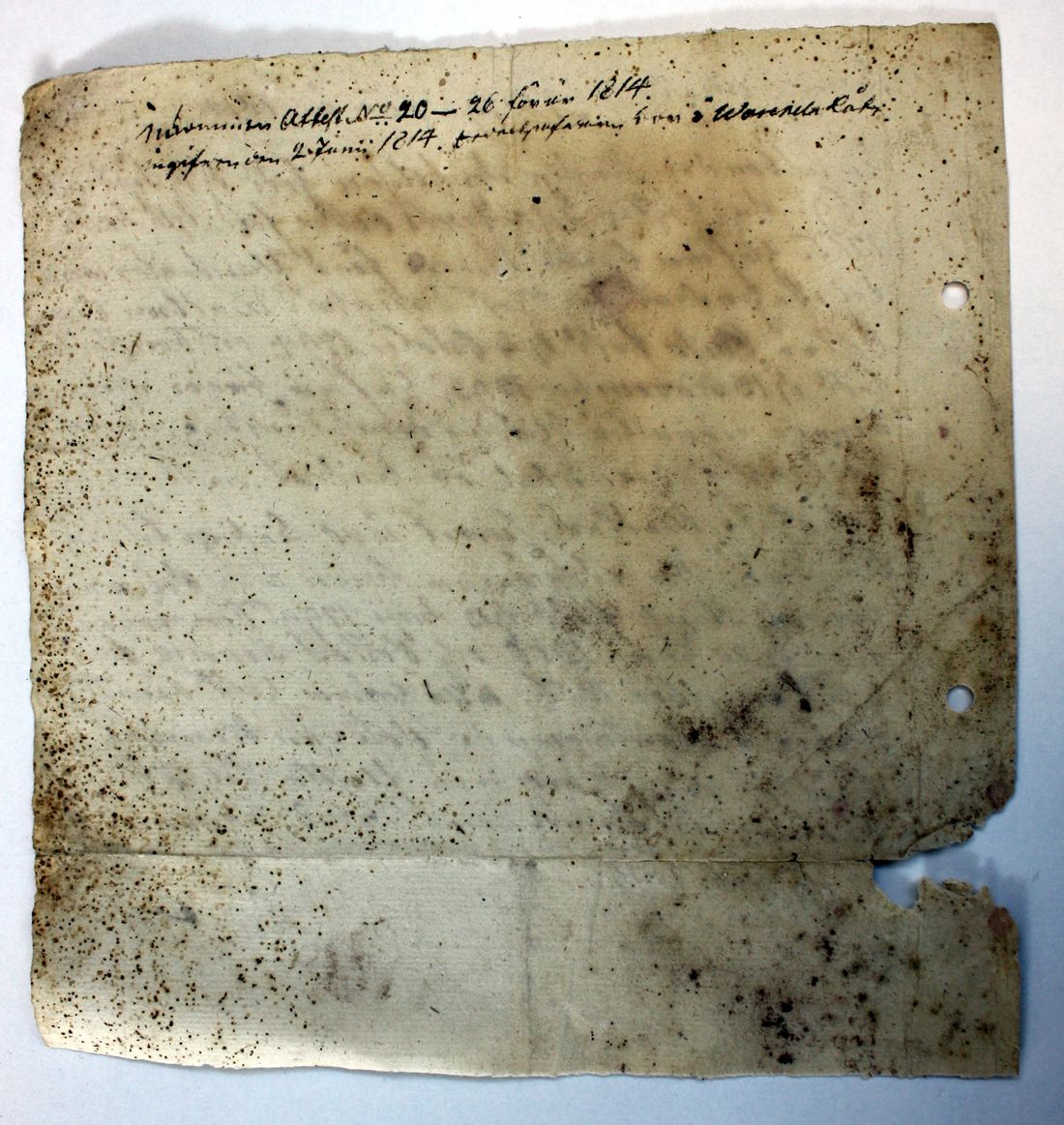 [ kuvat/401.jpg ]