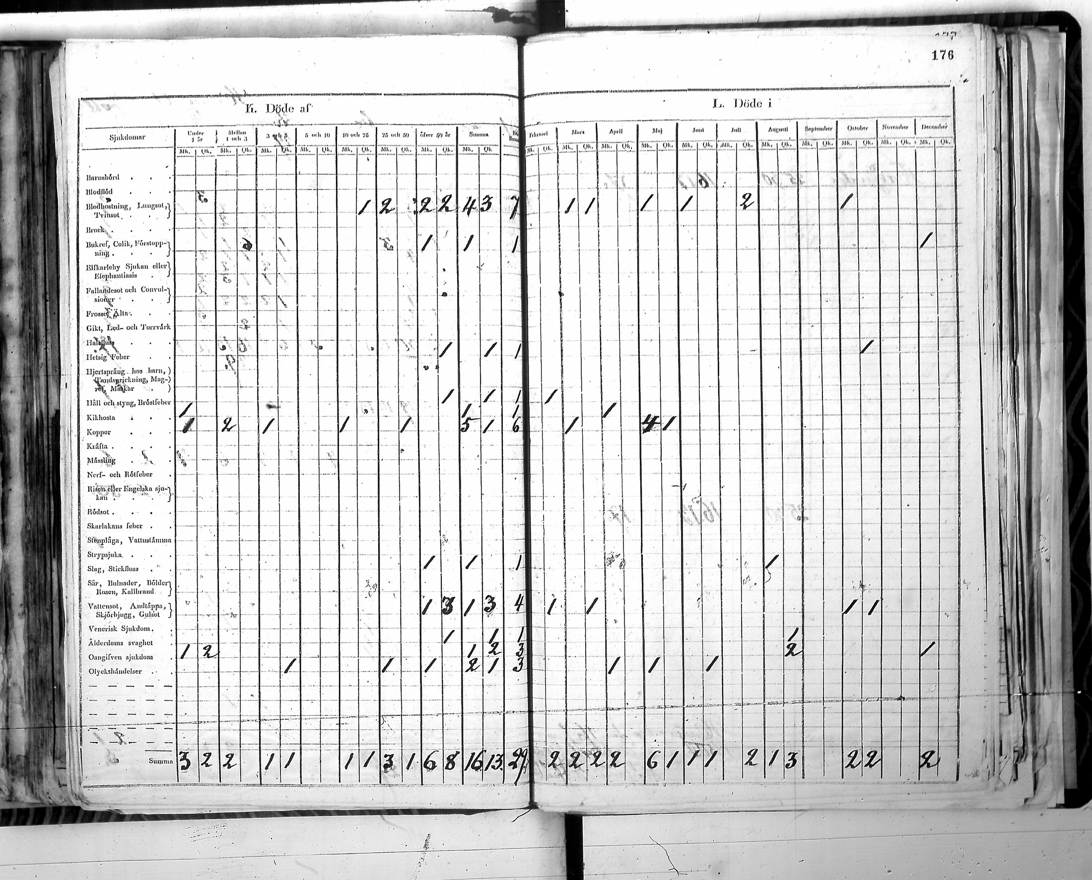 [ kuvat/179.jpg ]