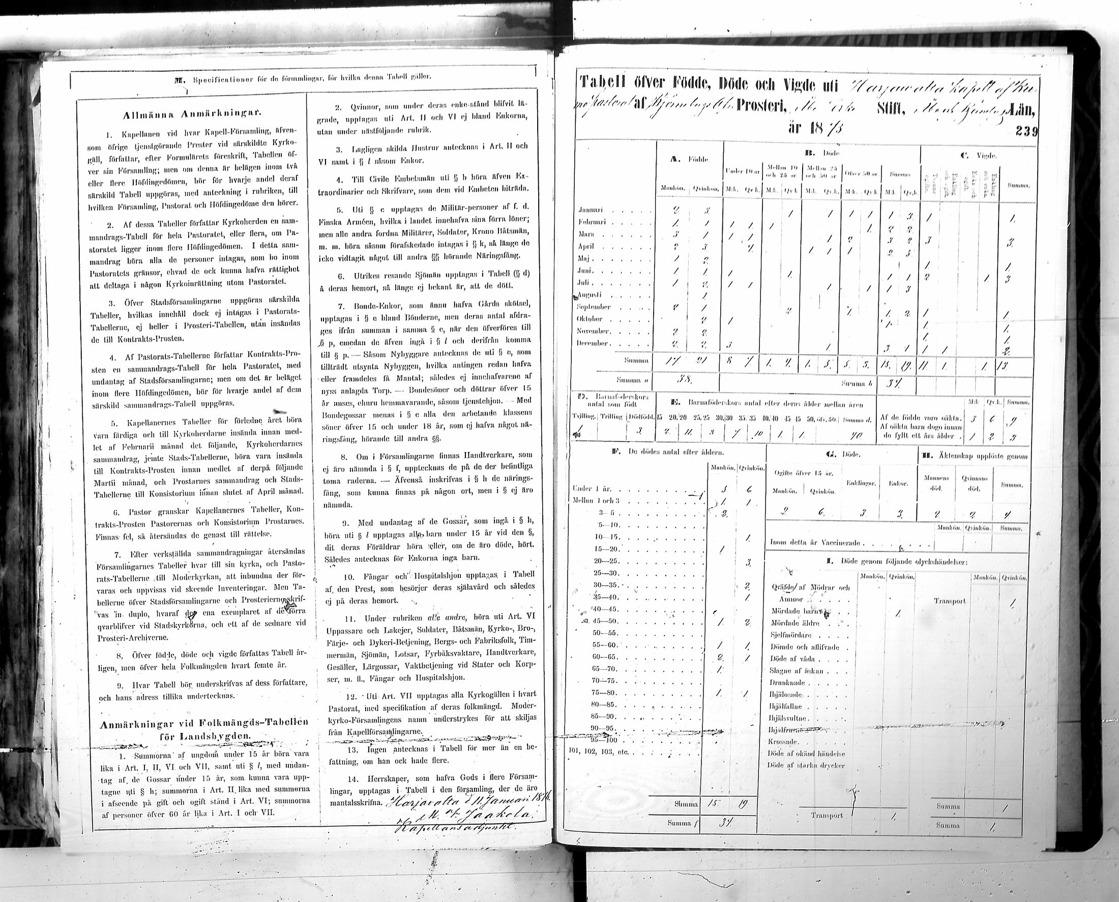 [ kuvat/242.jpg ]