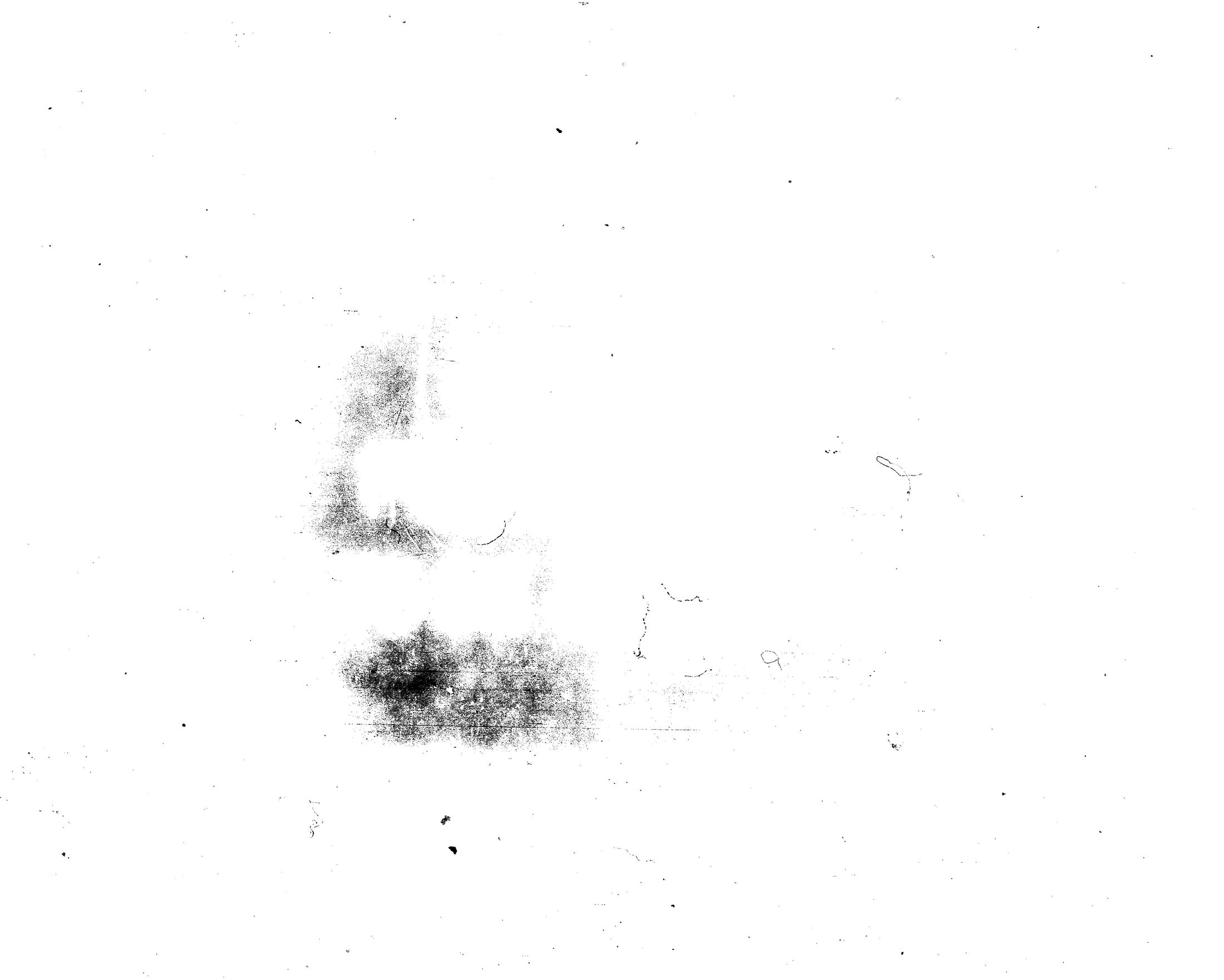 [ kuvat/113.jpg ]