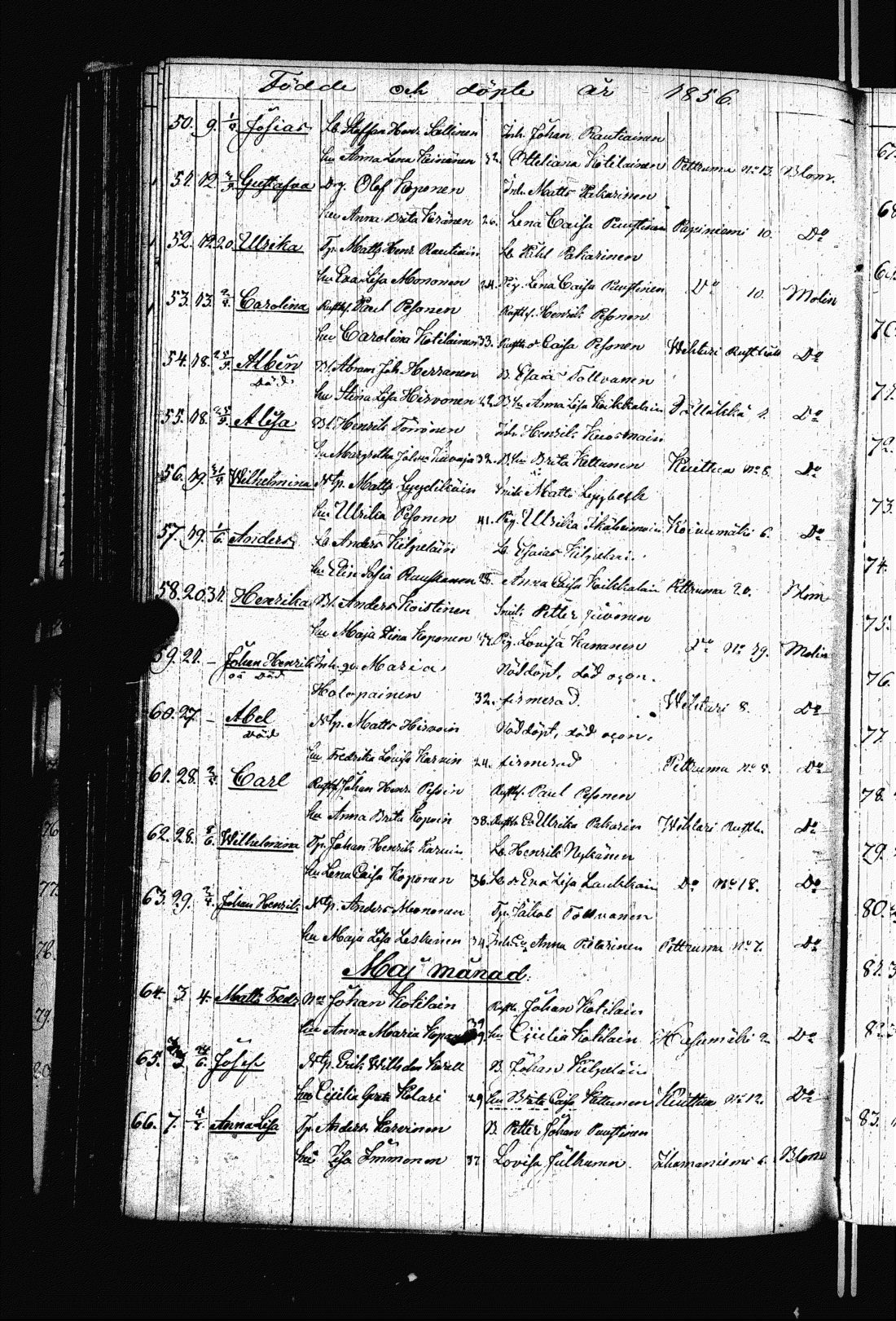 [ kuvat/190.jpg ]