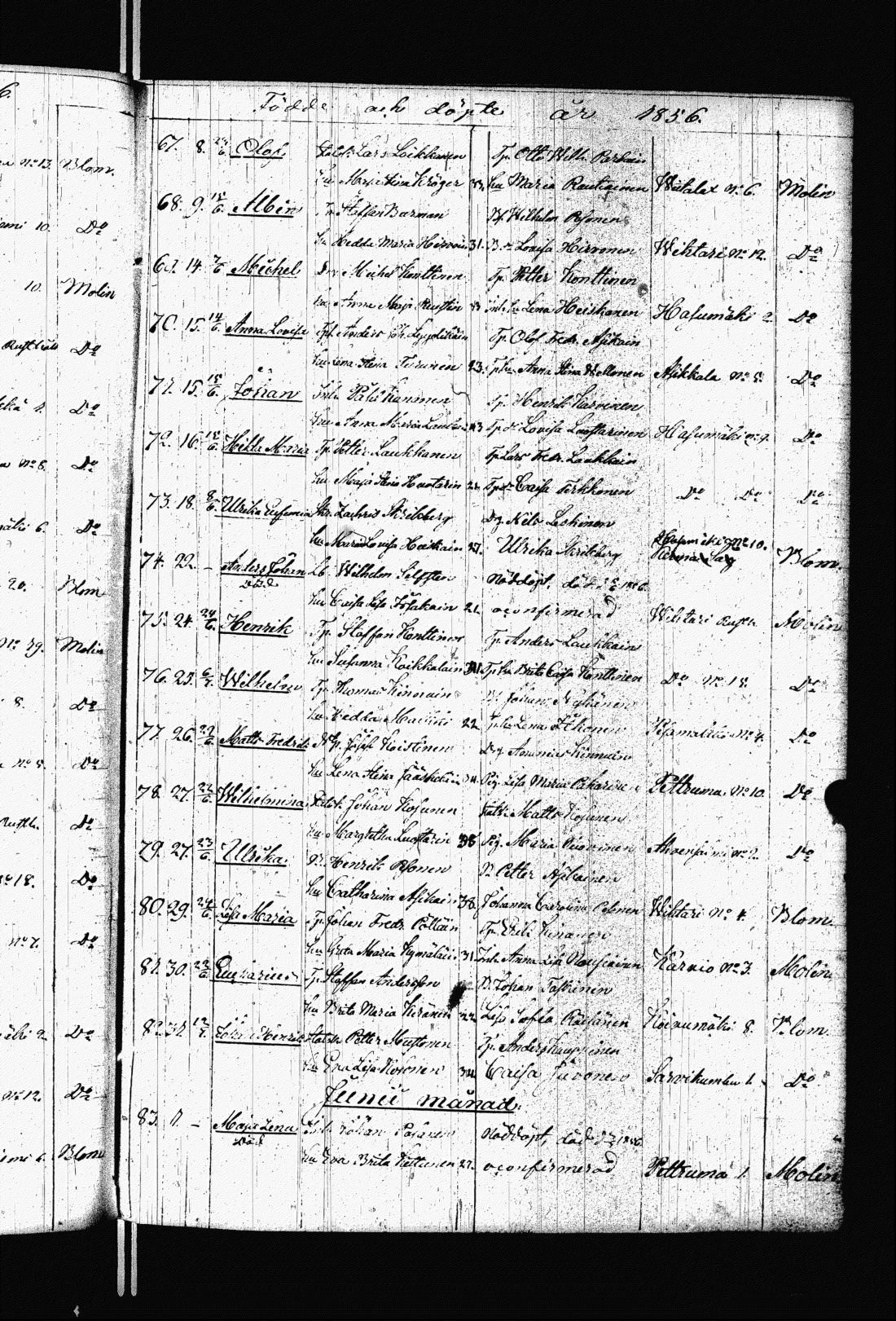 [ kuvat/191.jpg ]