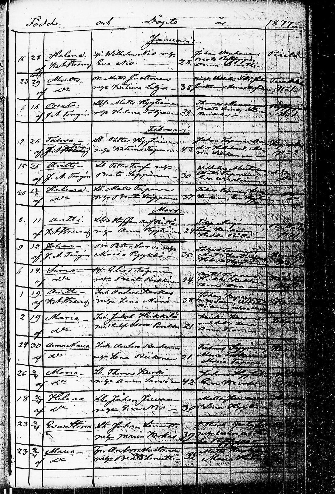 [ kuvat/142.jpg ]