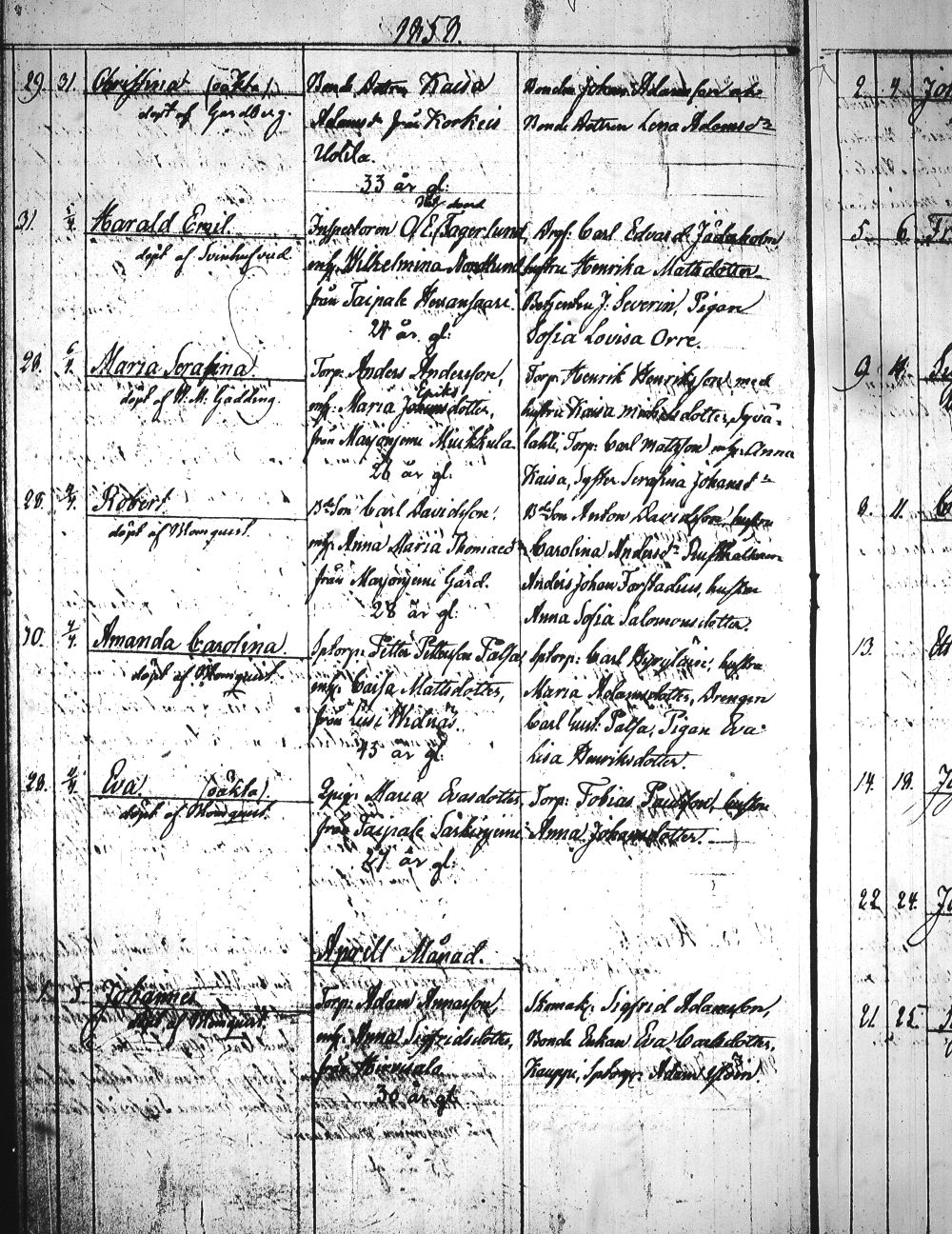 [ kuvat/274.jpg ]