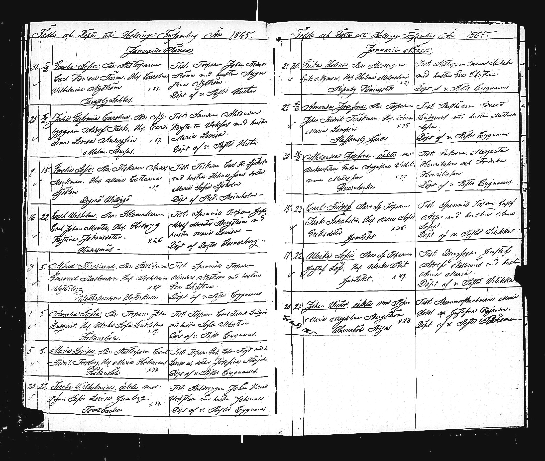 [ kuvat/309.jpg ]