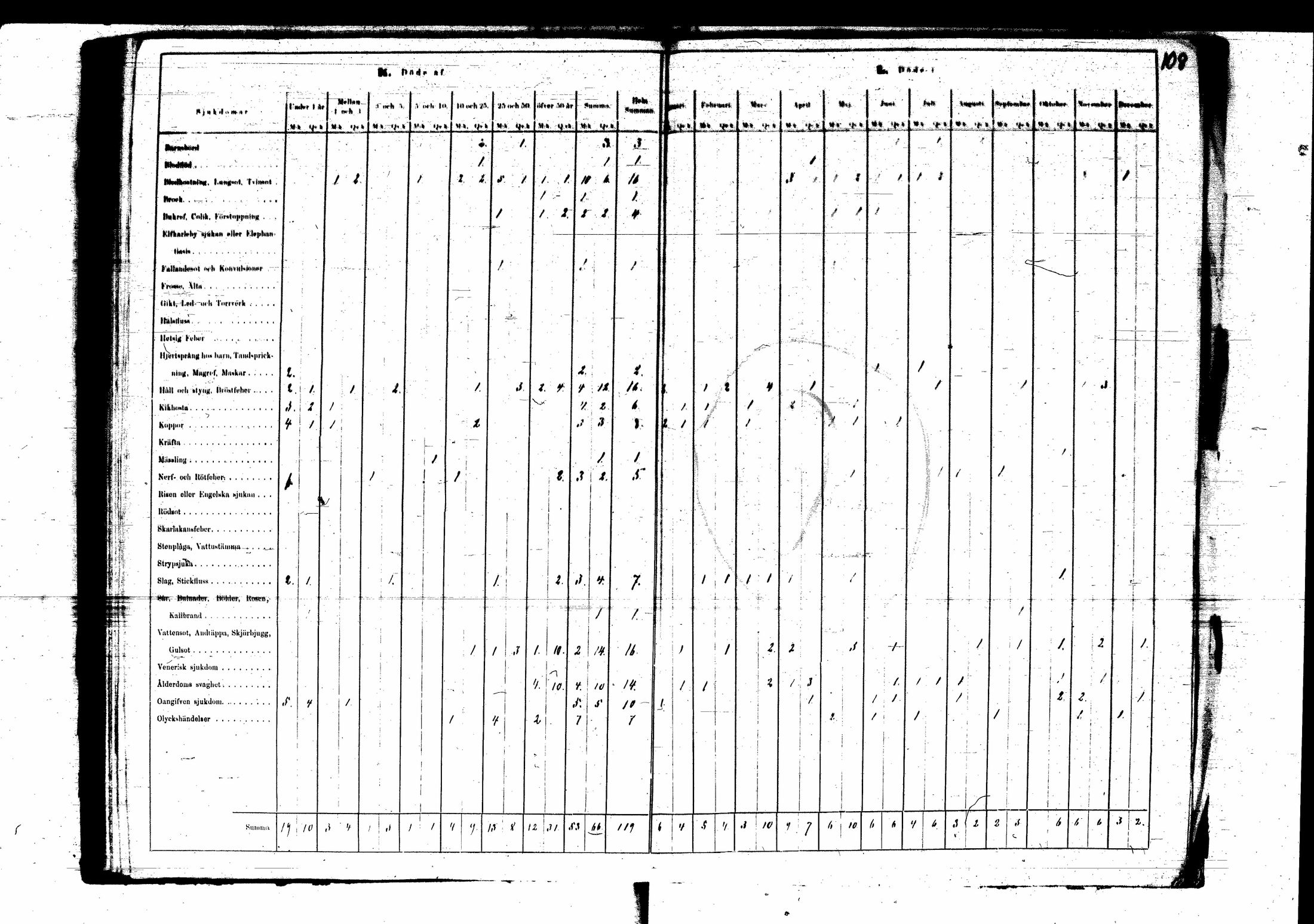 [ kuvat/110.jpg ]