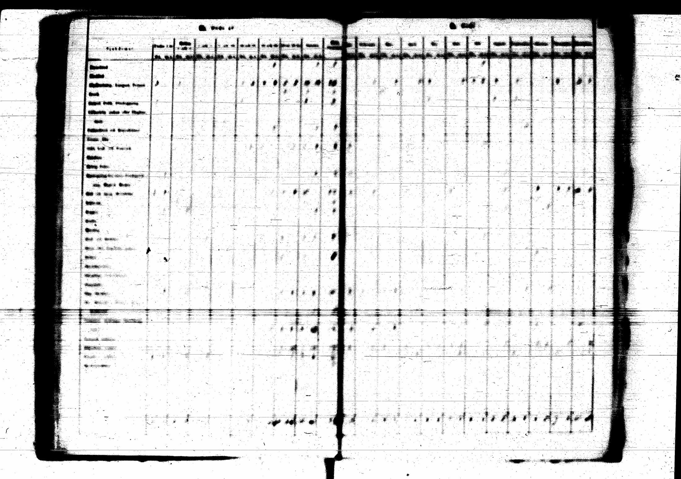 [ kuvat/112.jpg ]