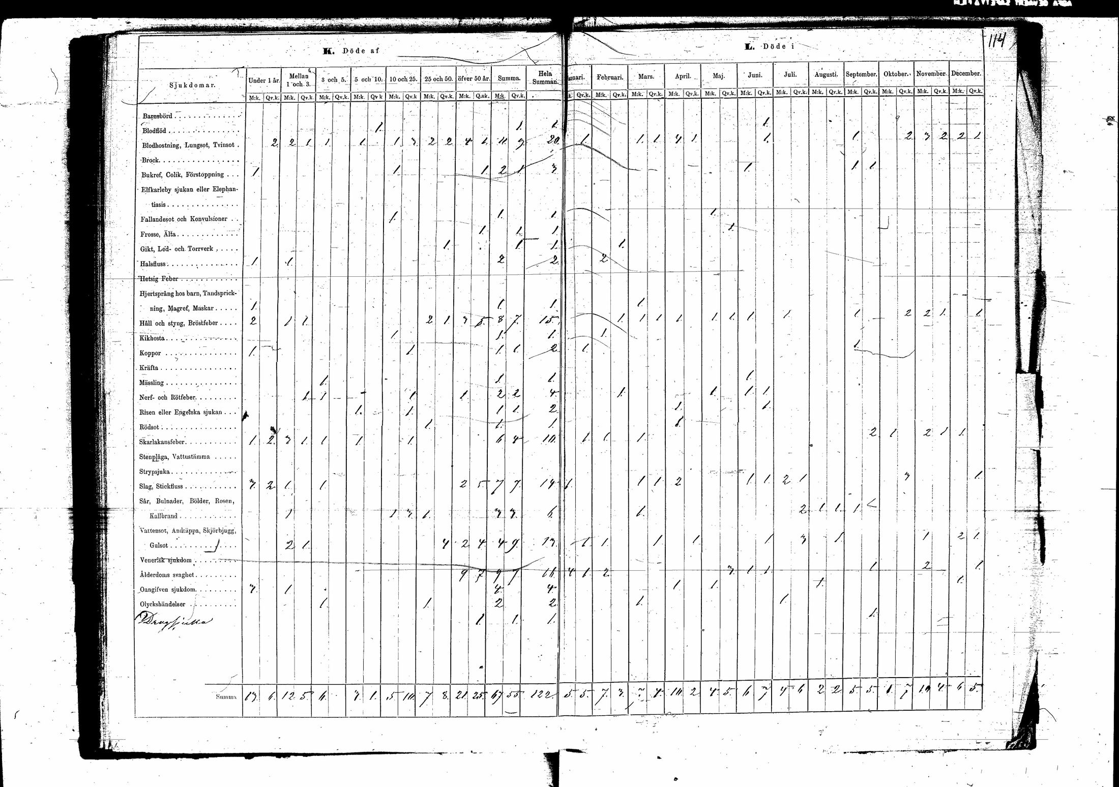 [ kuvat/116.jpg ]