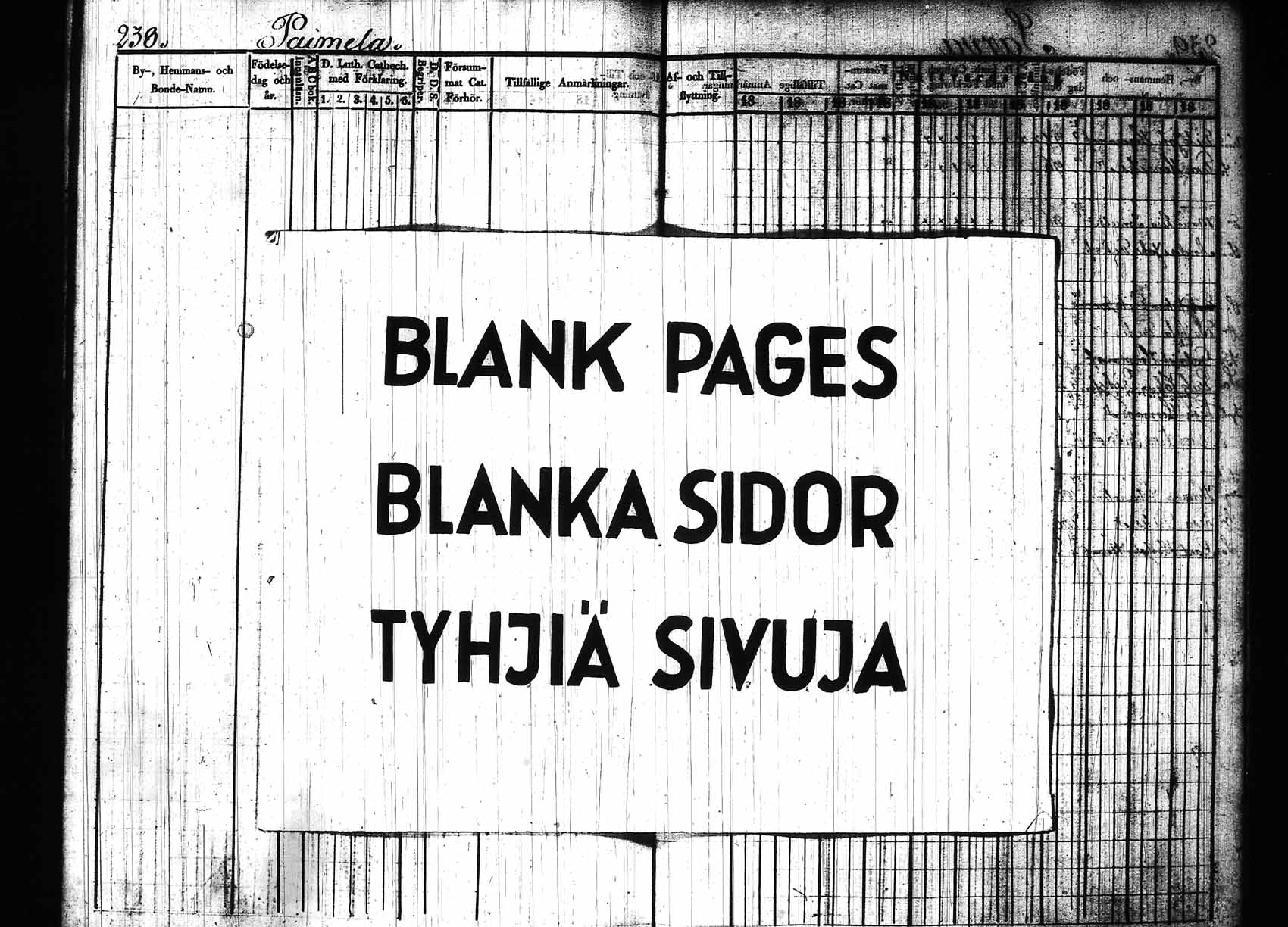 [ kuvat/247.jpg ]