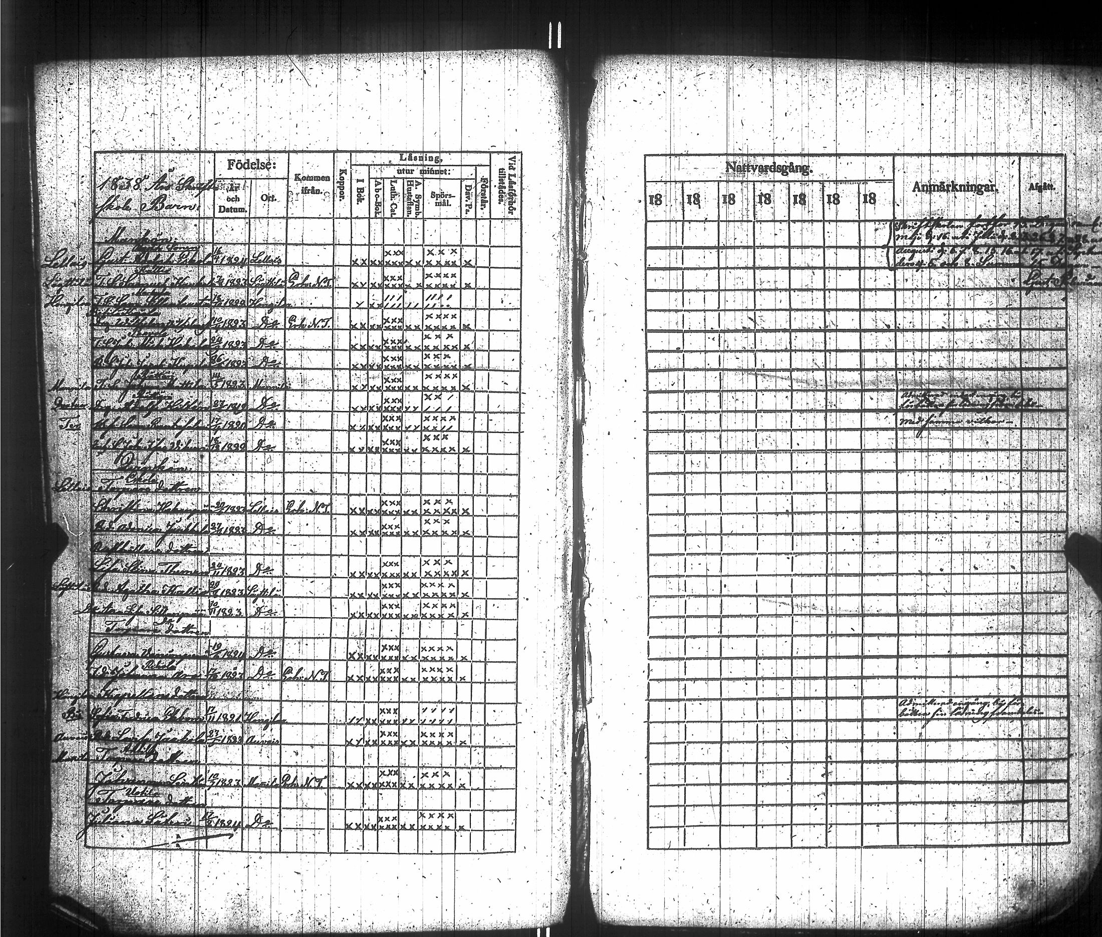 [ kuvat/191.jpg ]