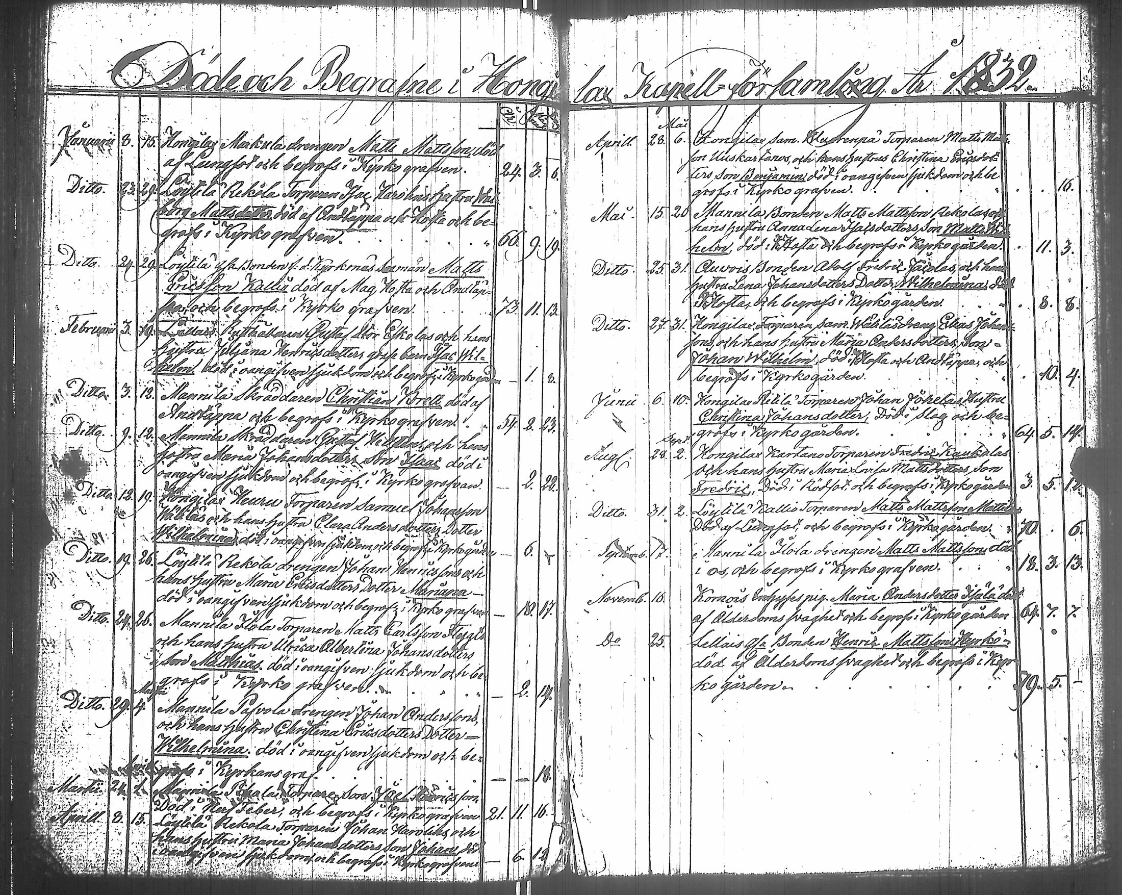 [ kuvat/168.jpg ]
