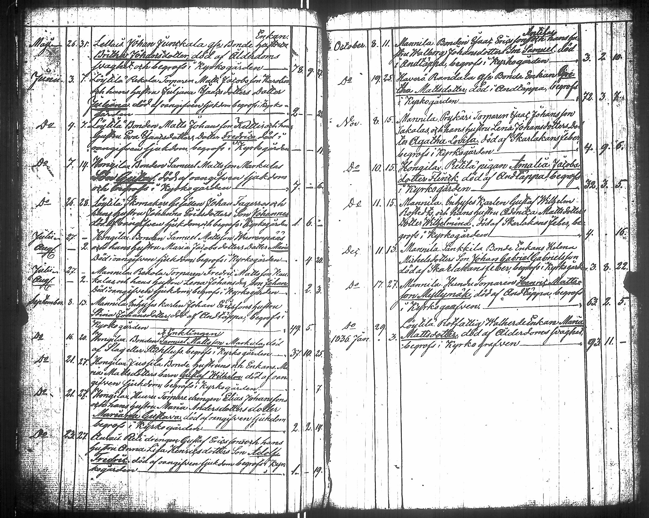 [ kuvat/172.jpg ]