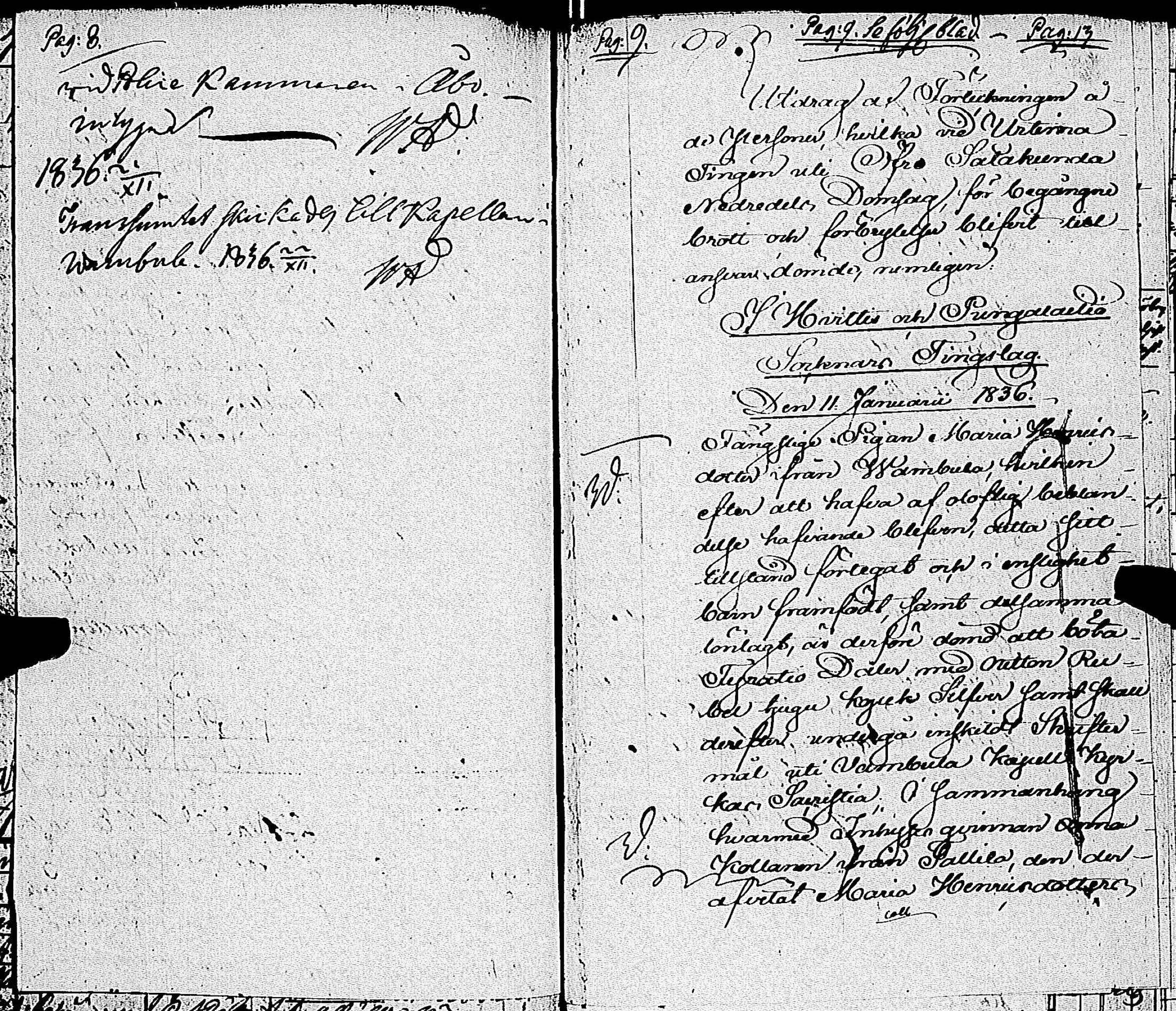 [ kuvat/206.jpg ]