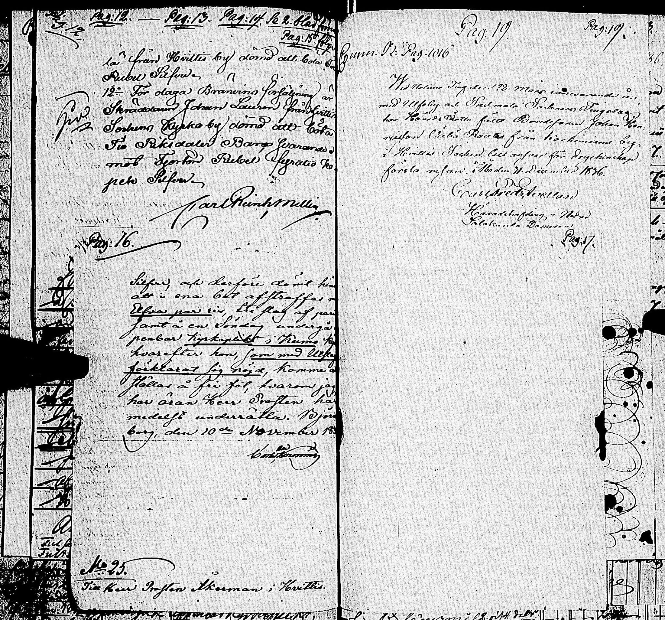 [ kuvat/211.jpg ]