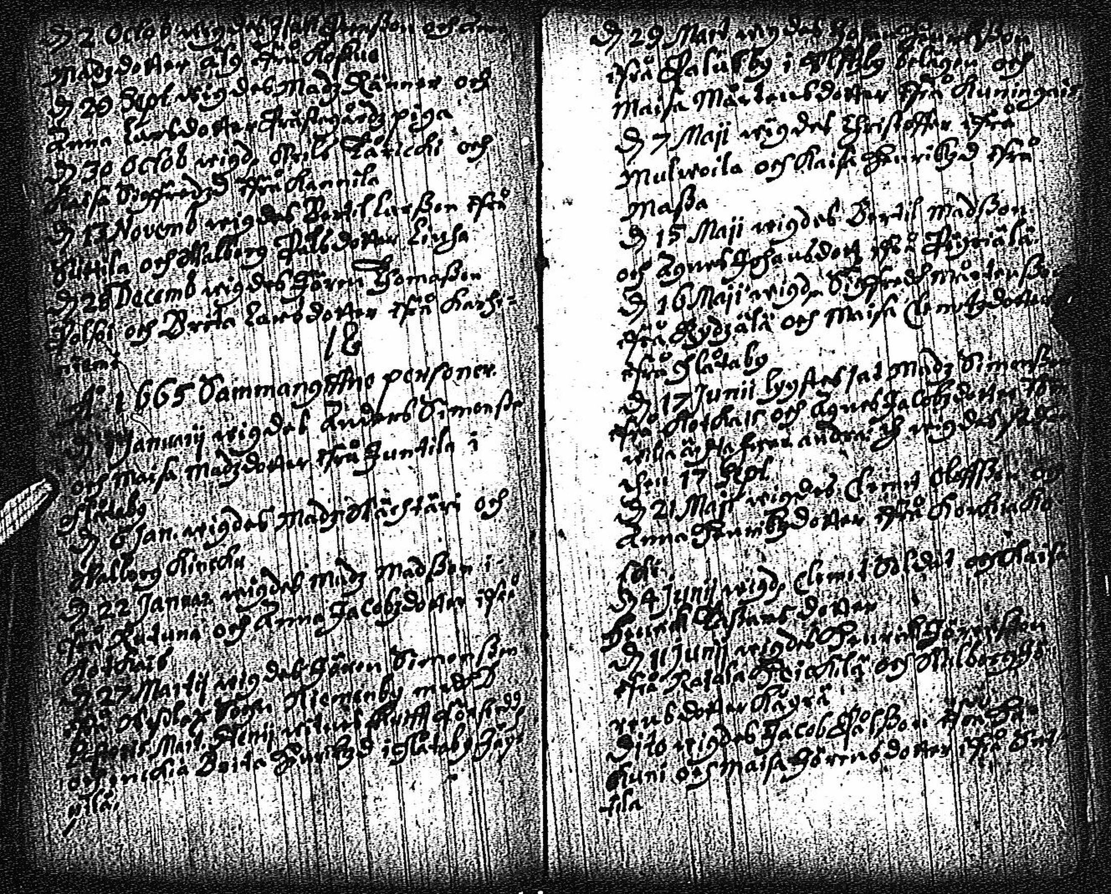 [ kuvat/114.jpg ]