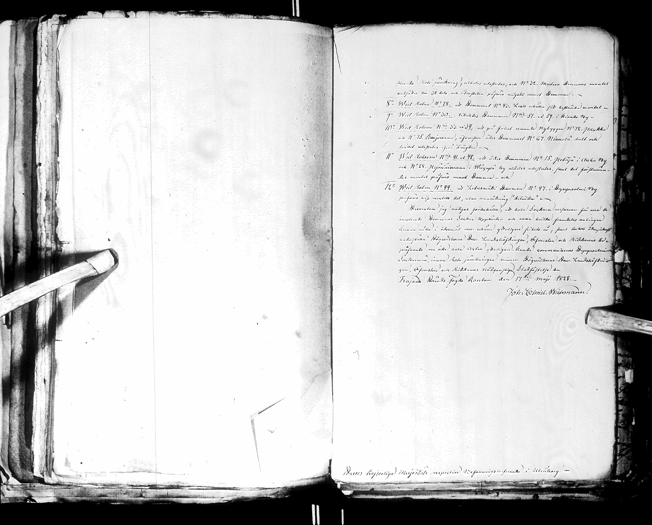 [ kuvat/295.jpg ]