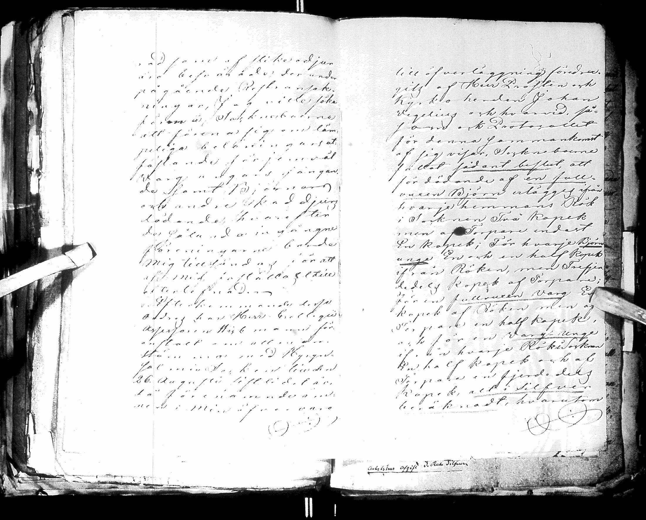 [ kuvat/347.jpg ]