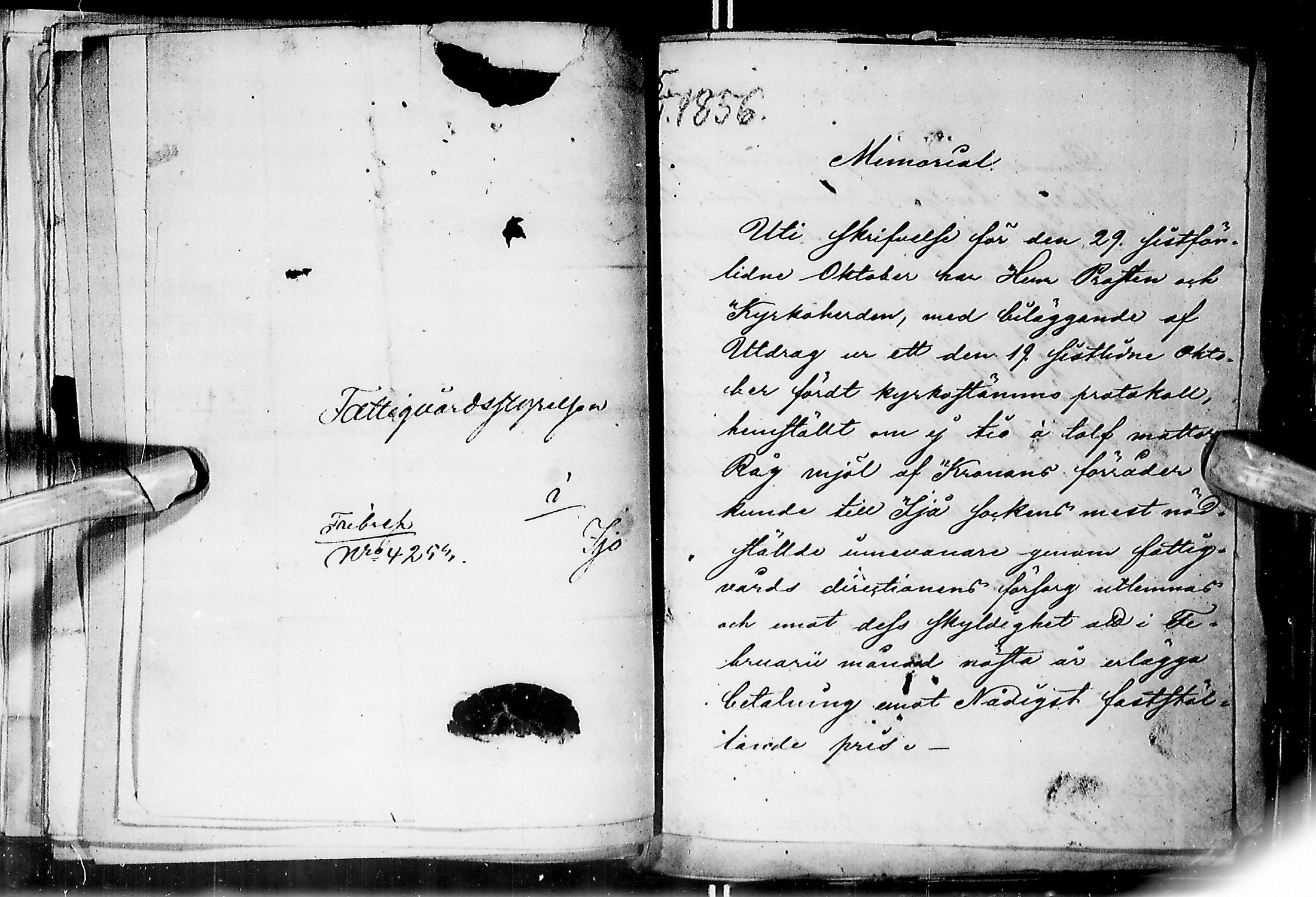 [ kuvat/107.jpg ]