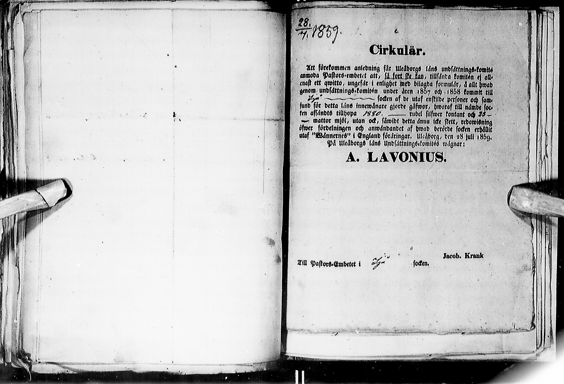 [ kuvat/203.jpg ]