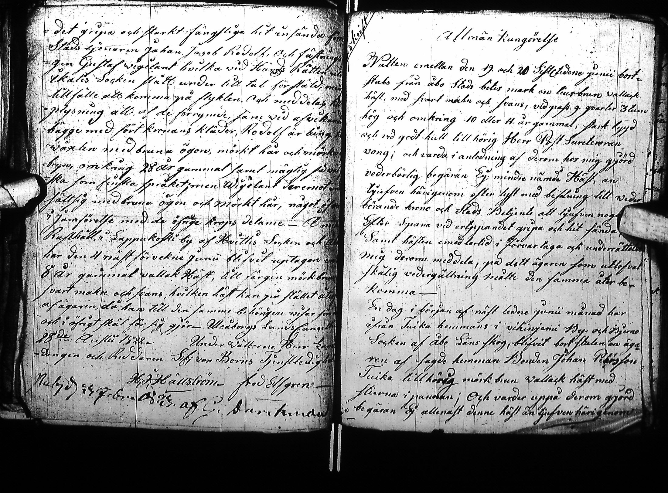 [ kuvat/157.jpg ]