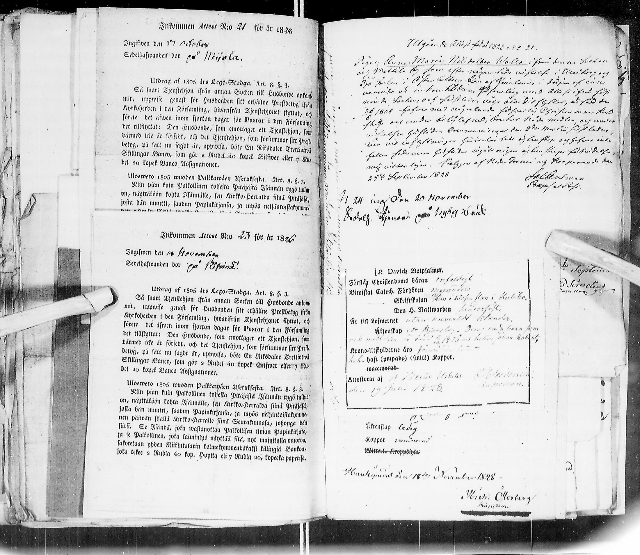 [ kuvat/196.jpg ]