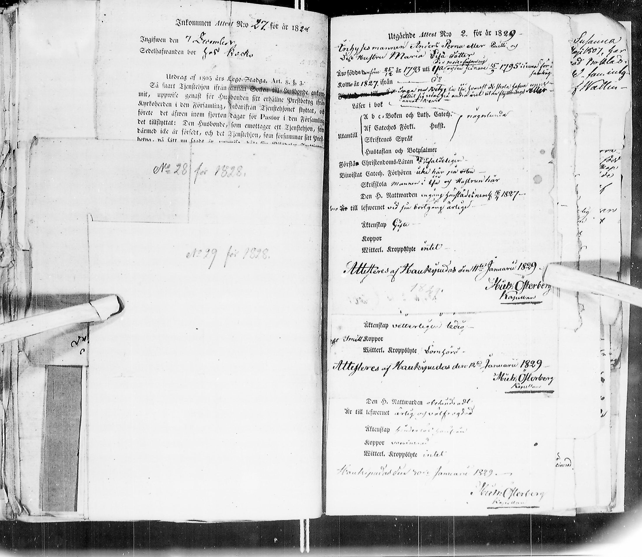 [ kuvat/202.jpg ]