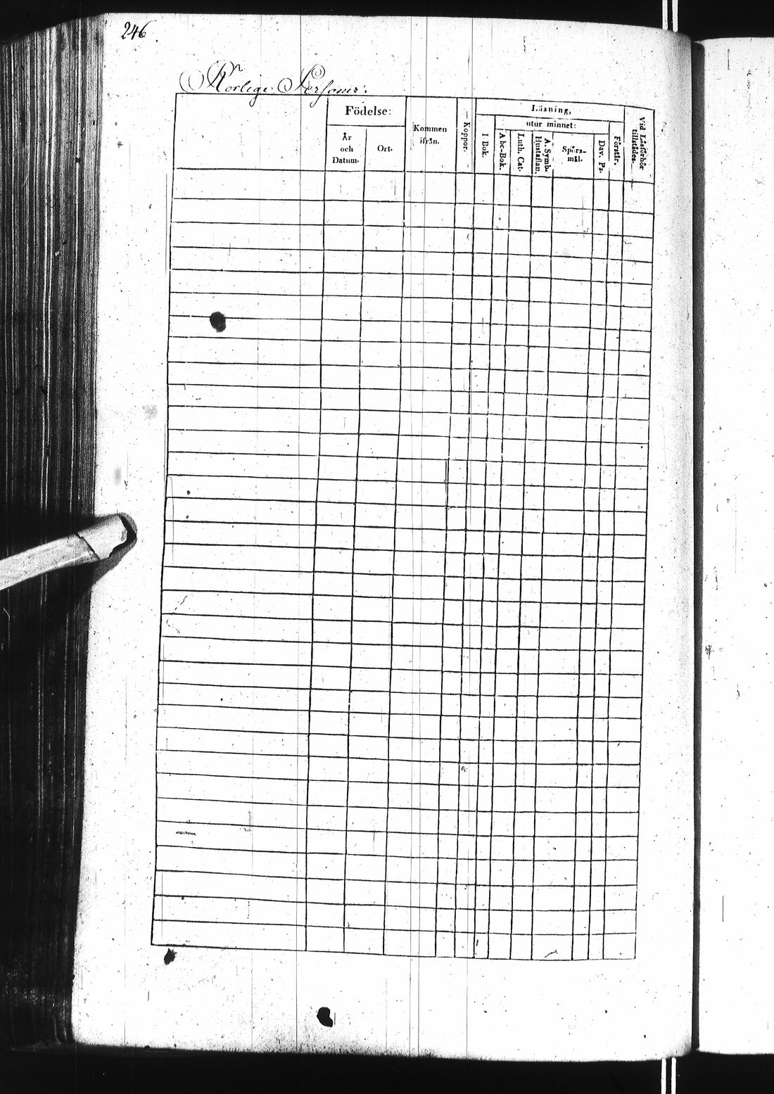 [ kuvat/495.jpg ]