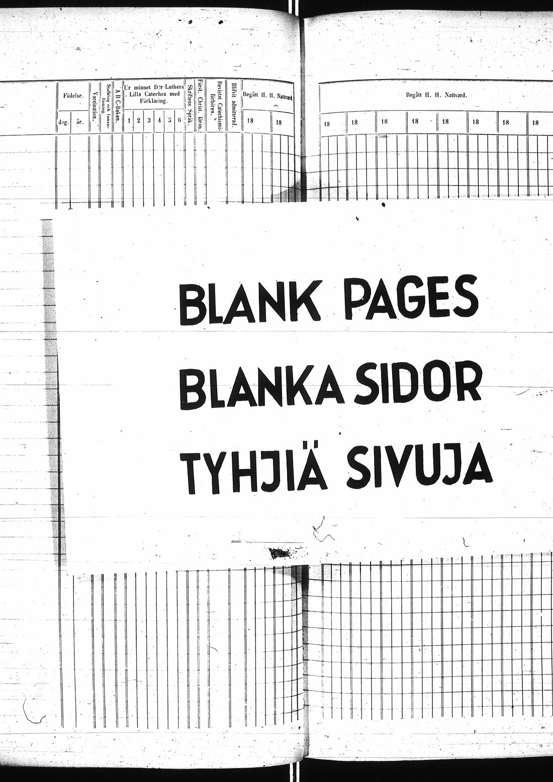 [ kuvat/419.jpg ]
