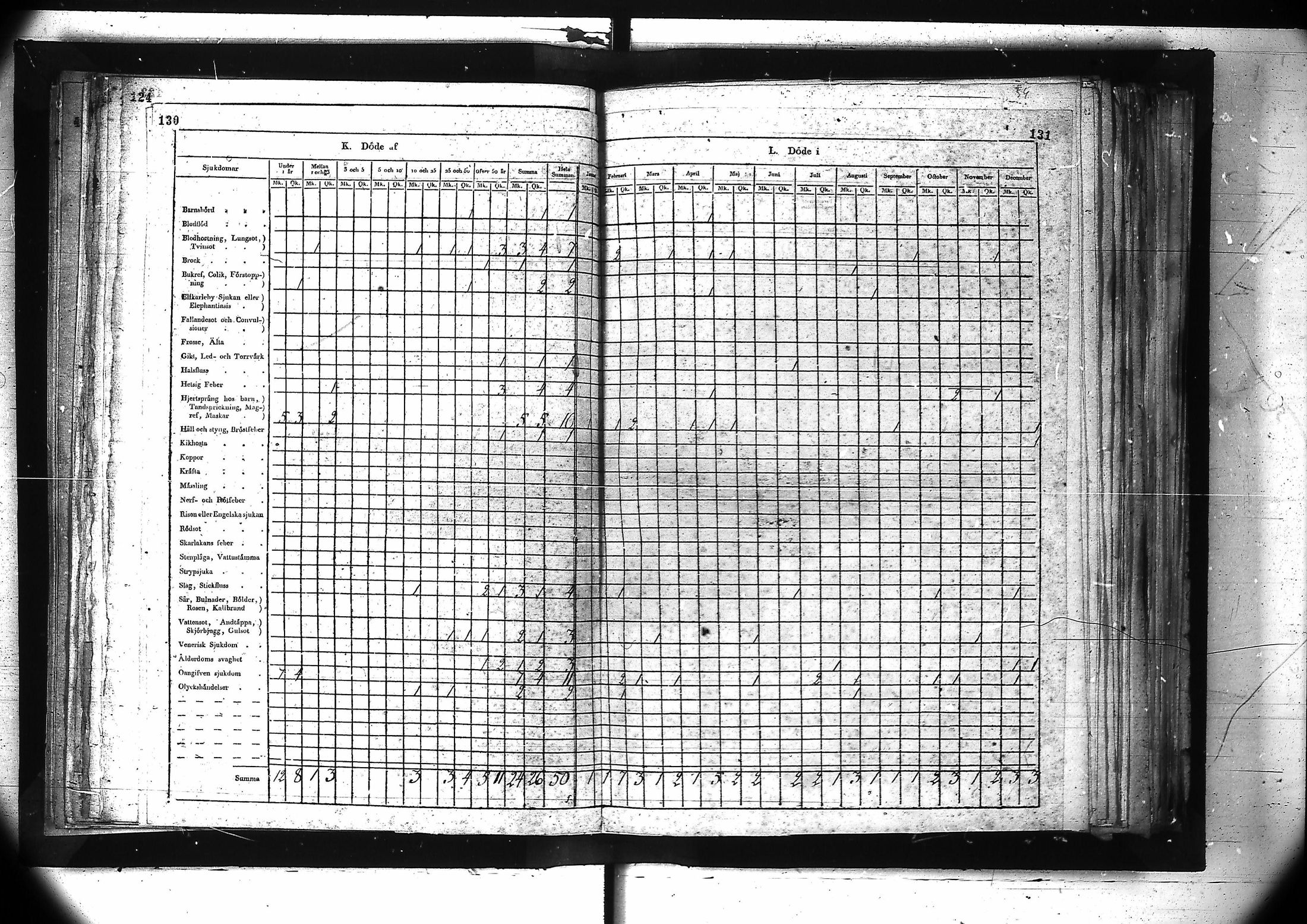 [ kuvat/127.jpg ]