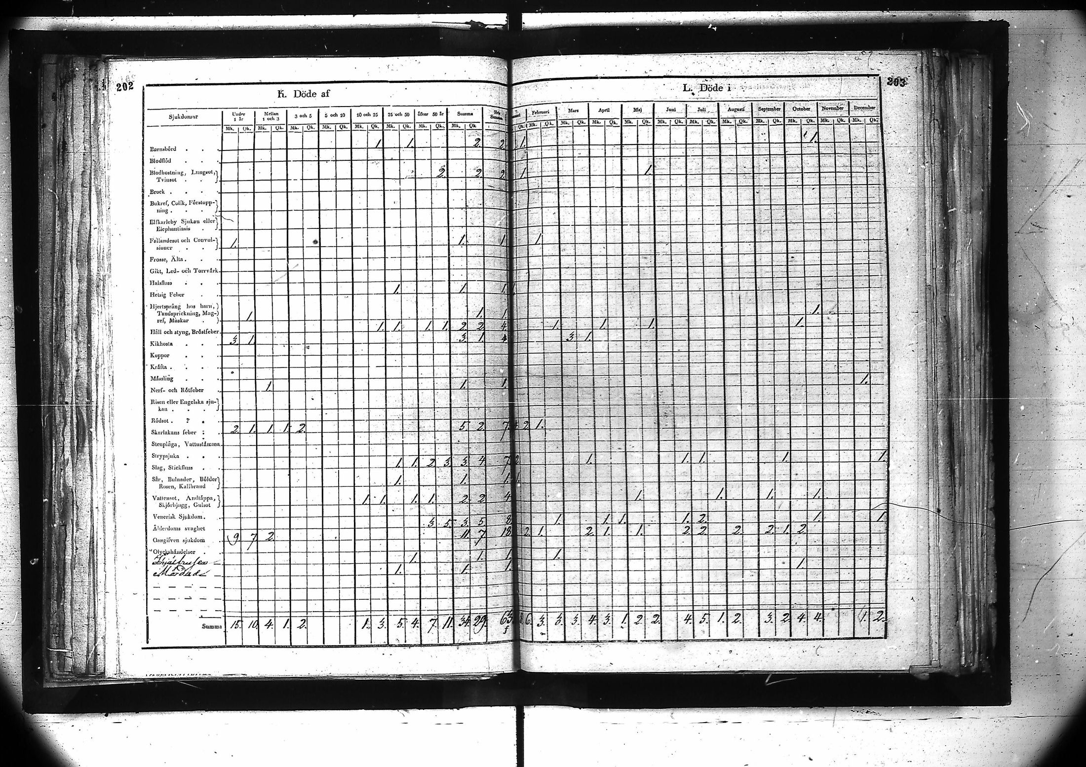 [ kuvat/163.jpg ]