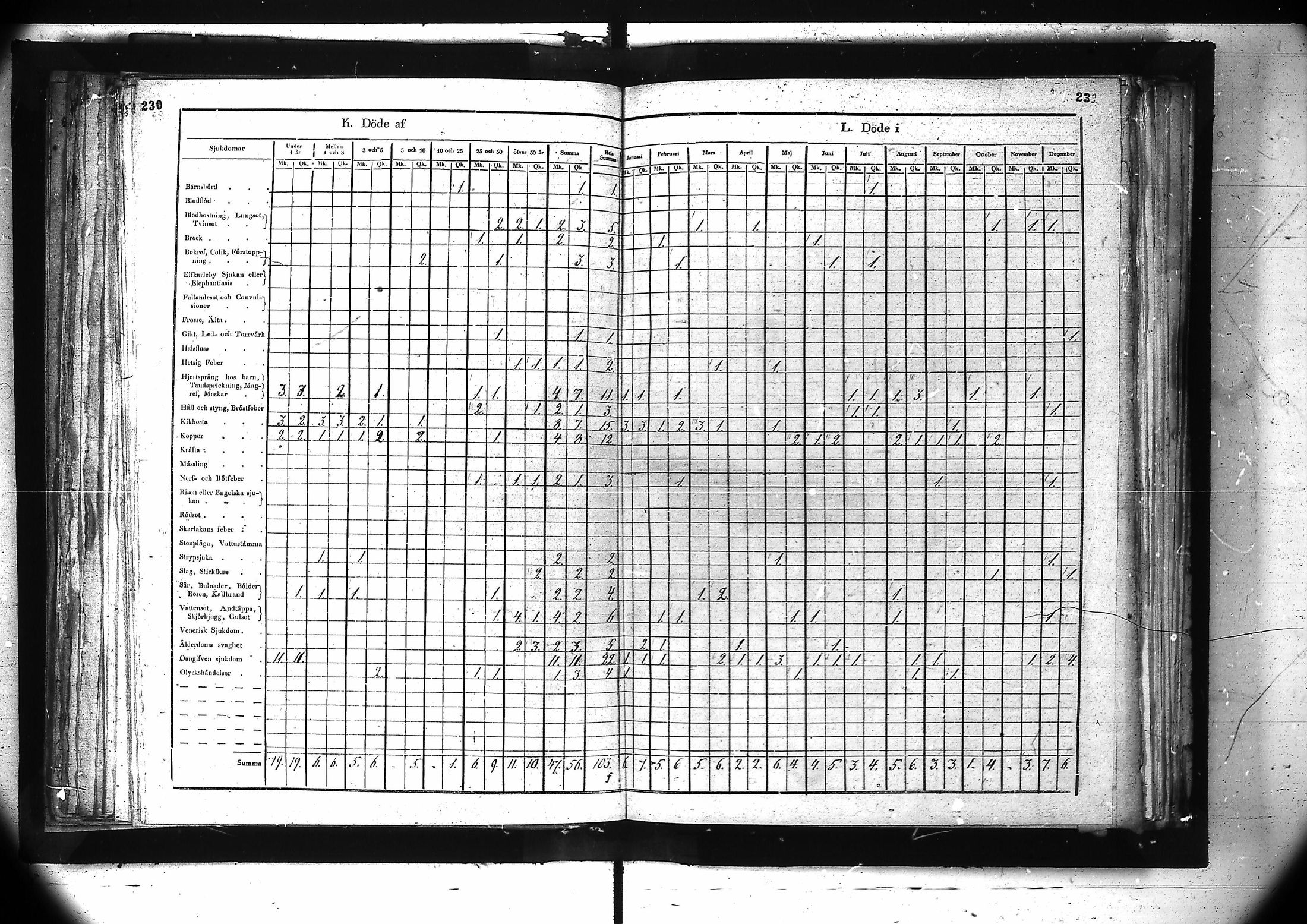 [ kuvat/177.jpg ]