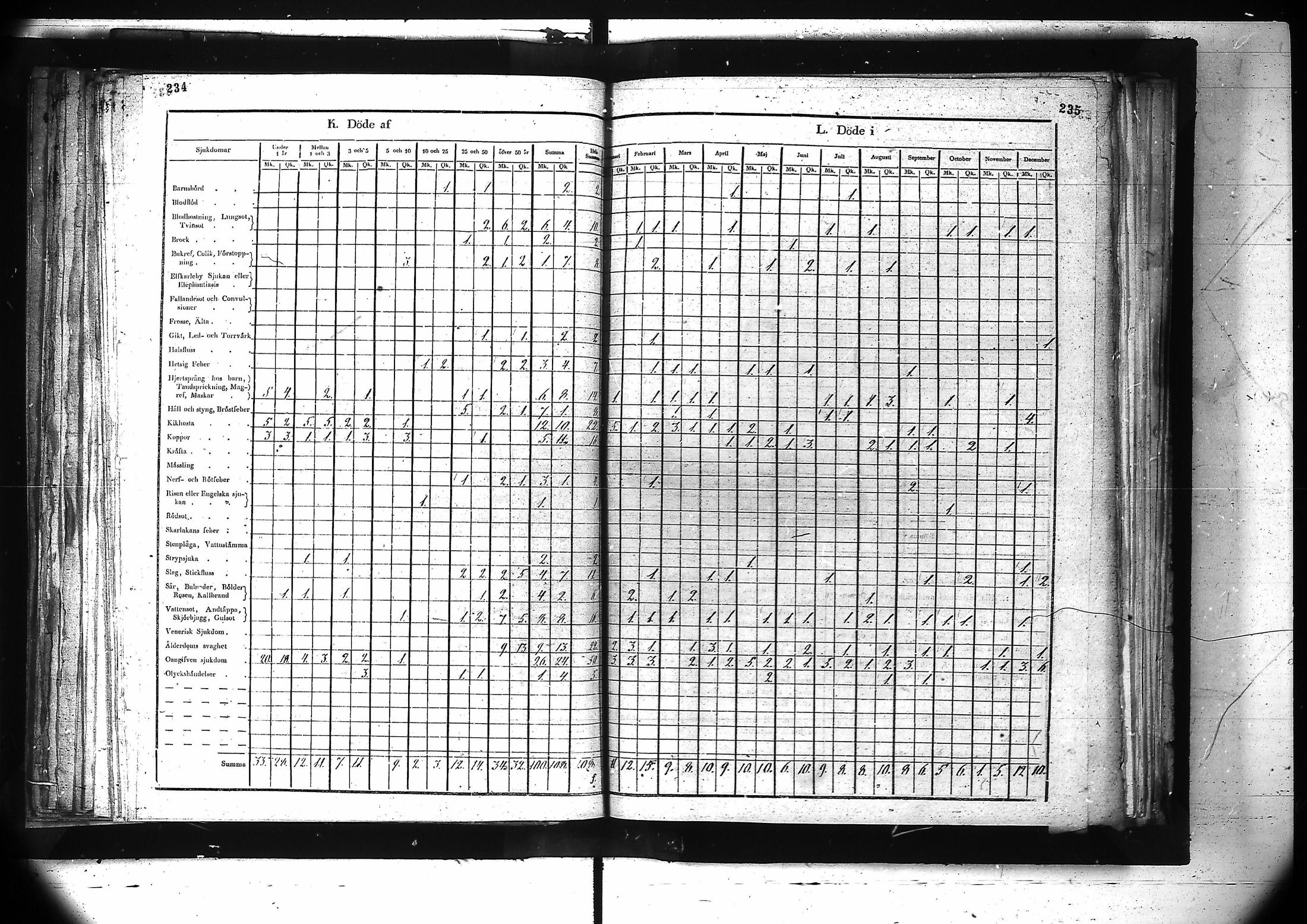 [ kuvat/179.jpg ]