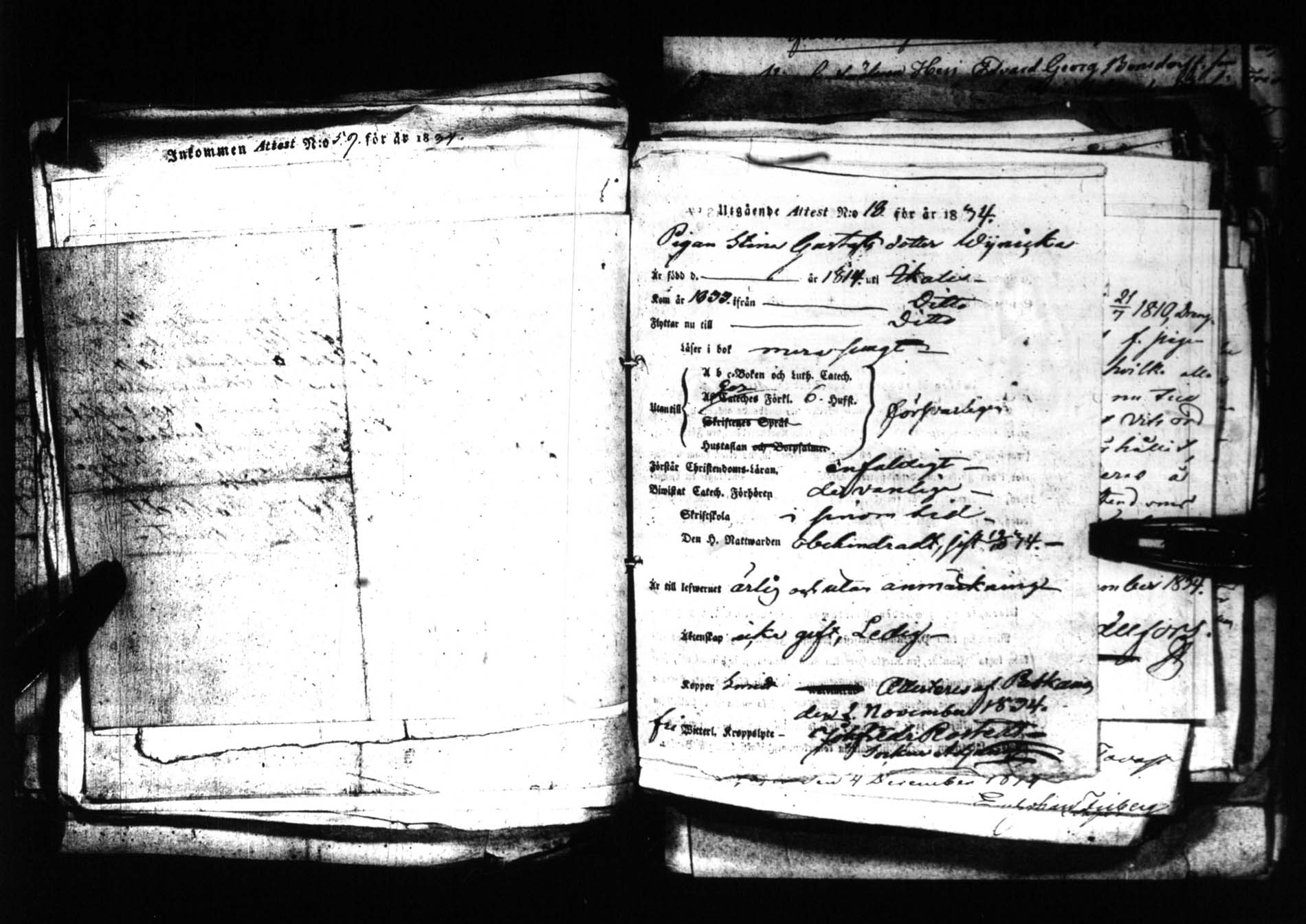 [ kuvat/117.jpg ]