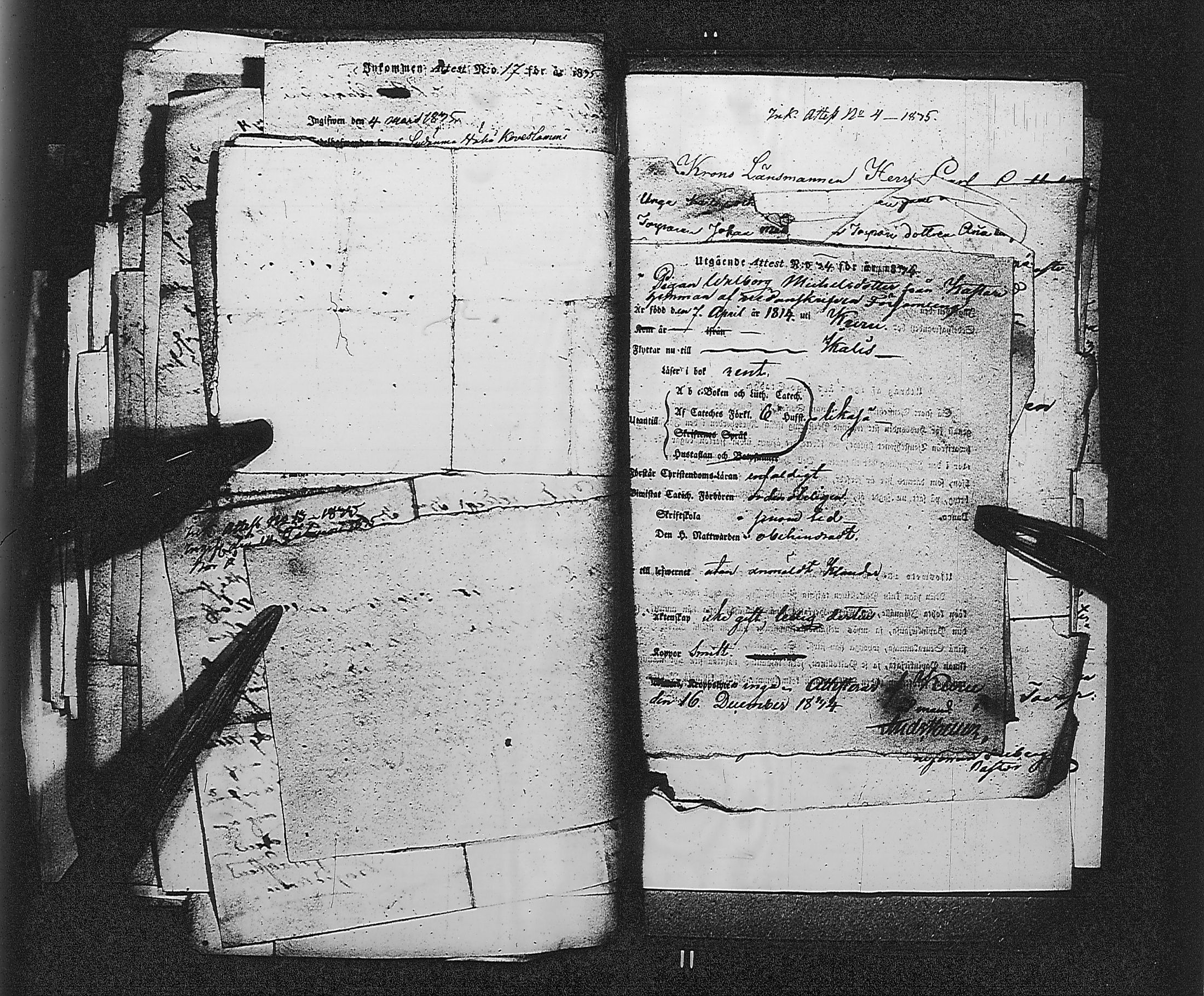 [ kuvat/248.jpg ]